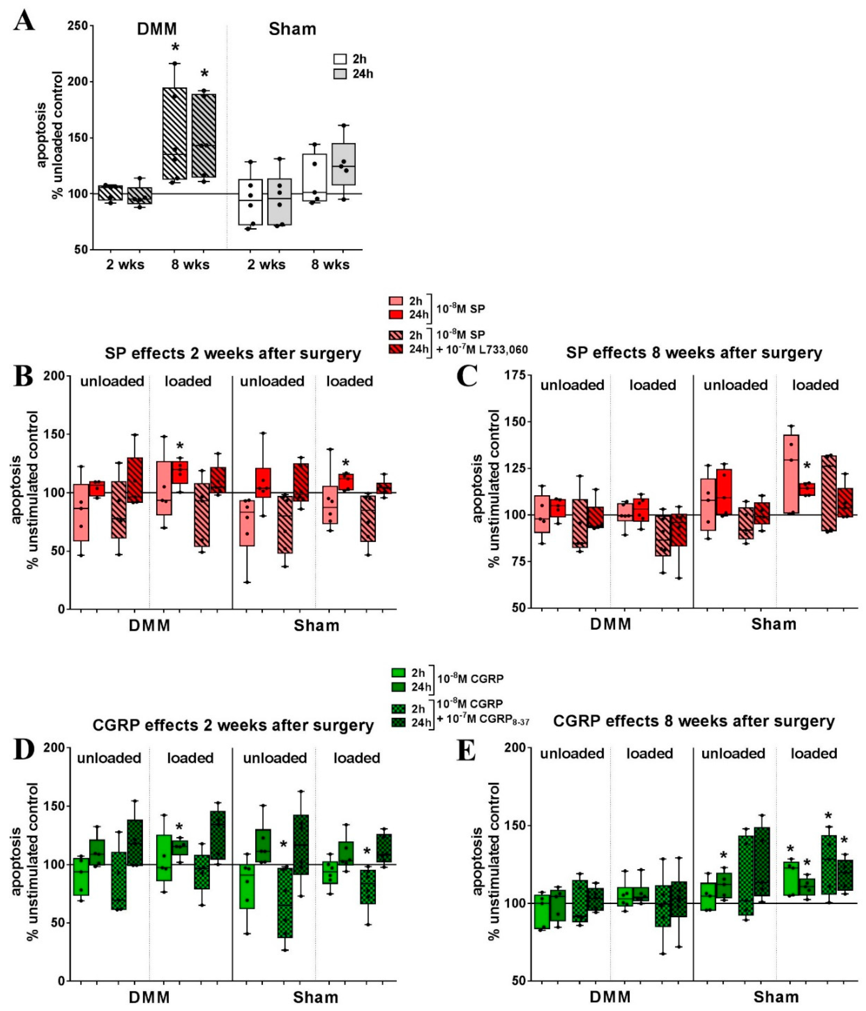 Ijms 20 00503 g007 Ijms 20 00503 g007