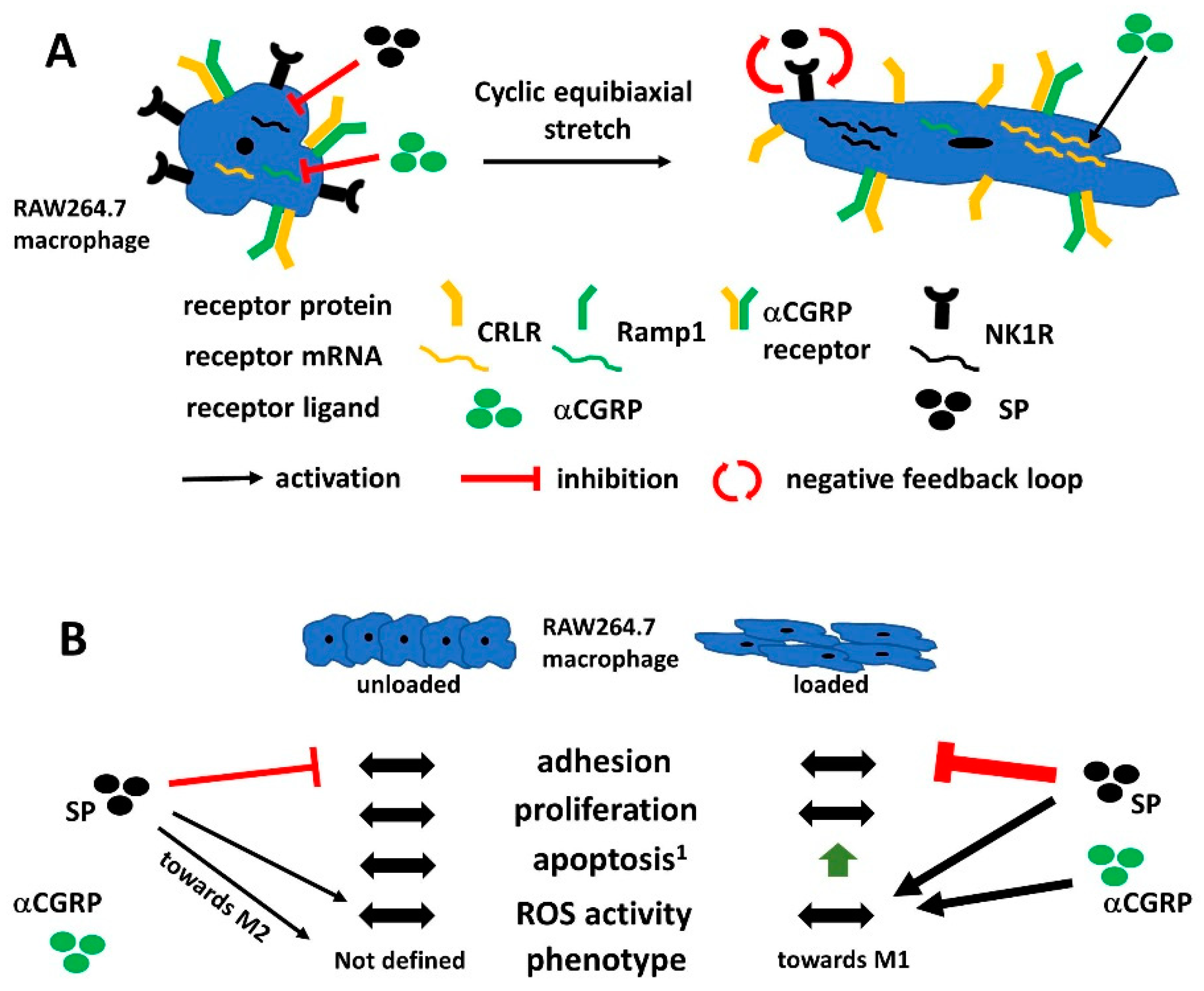 Ijms 20 00503 g008 Ijms 20 00503 g008