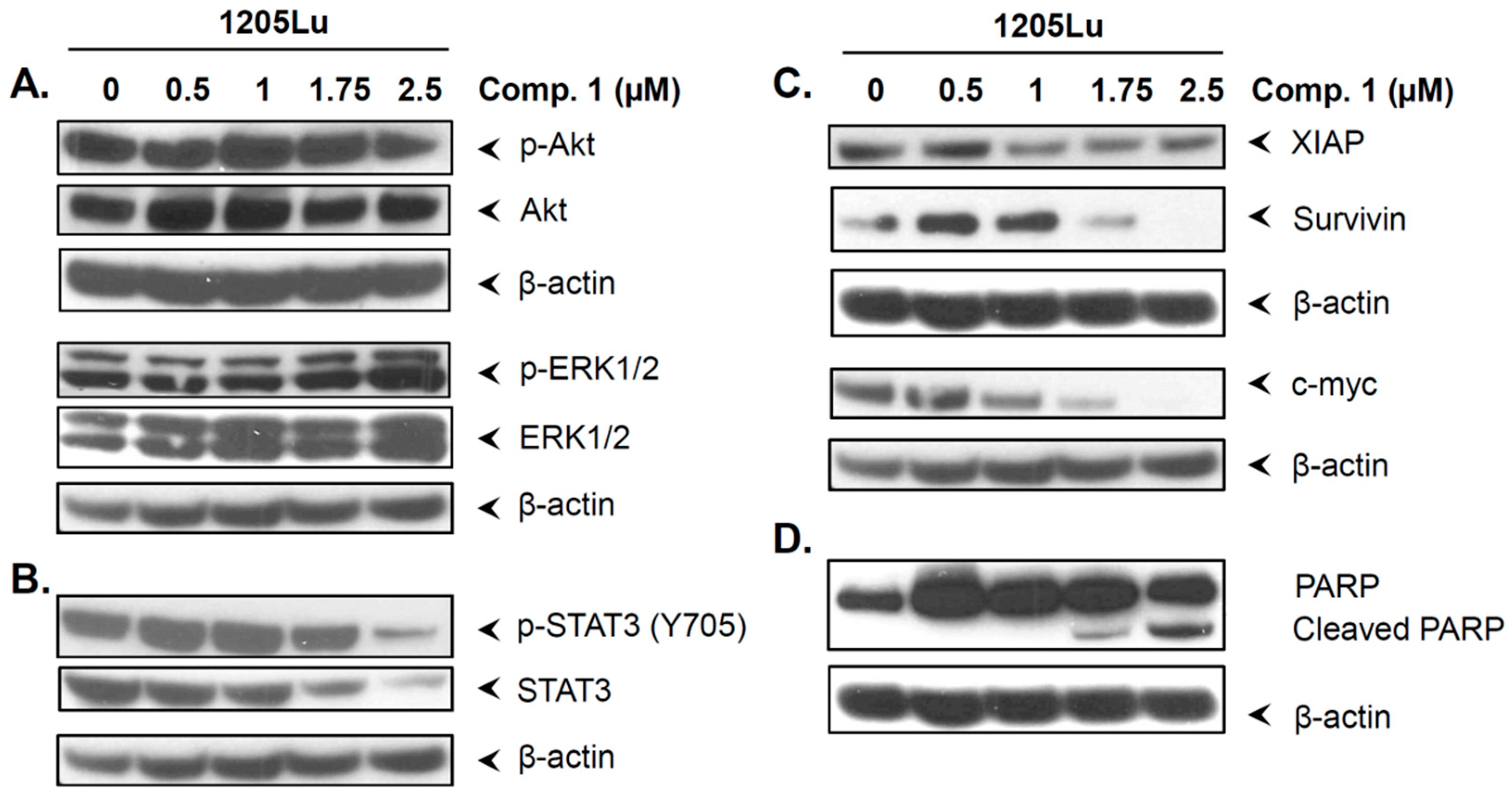 Ijms 20 00521 g005 Ijms 20 00521 g005