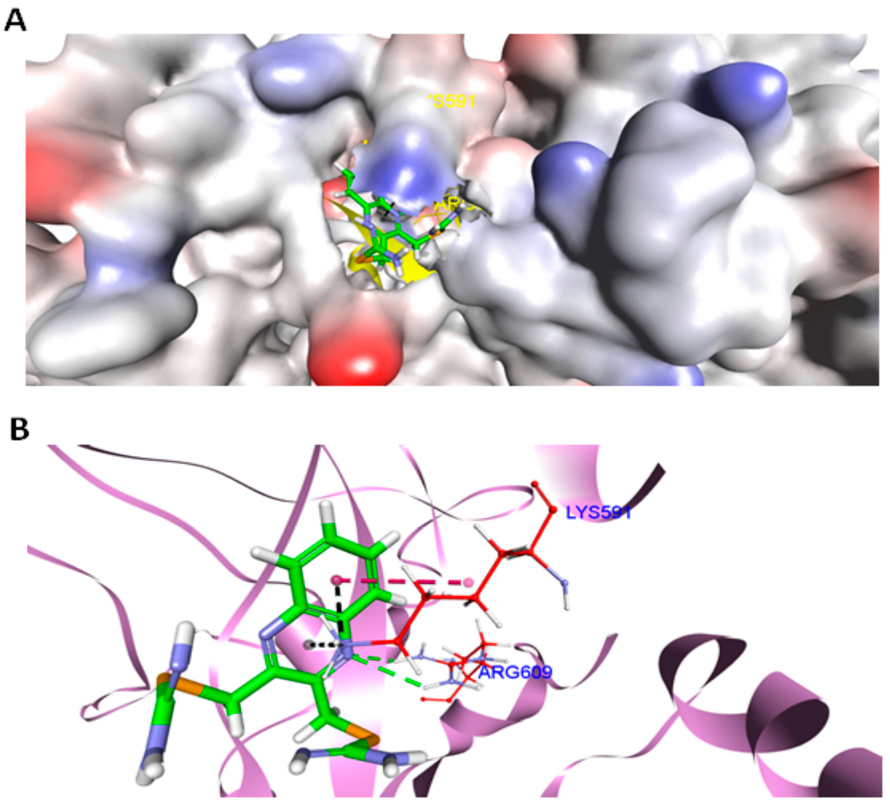 Ijms 20 00521 g008 Ijms 20 00521 g008