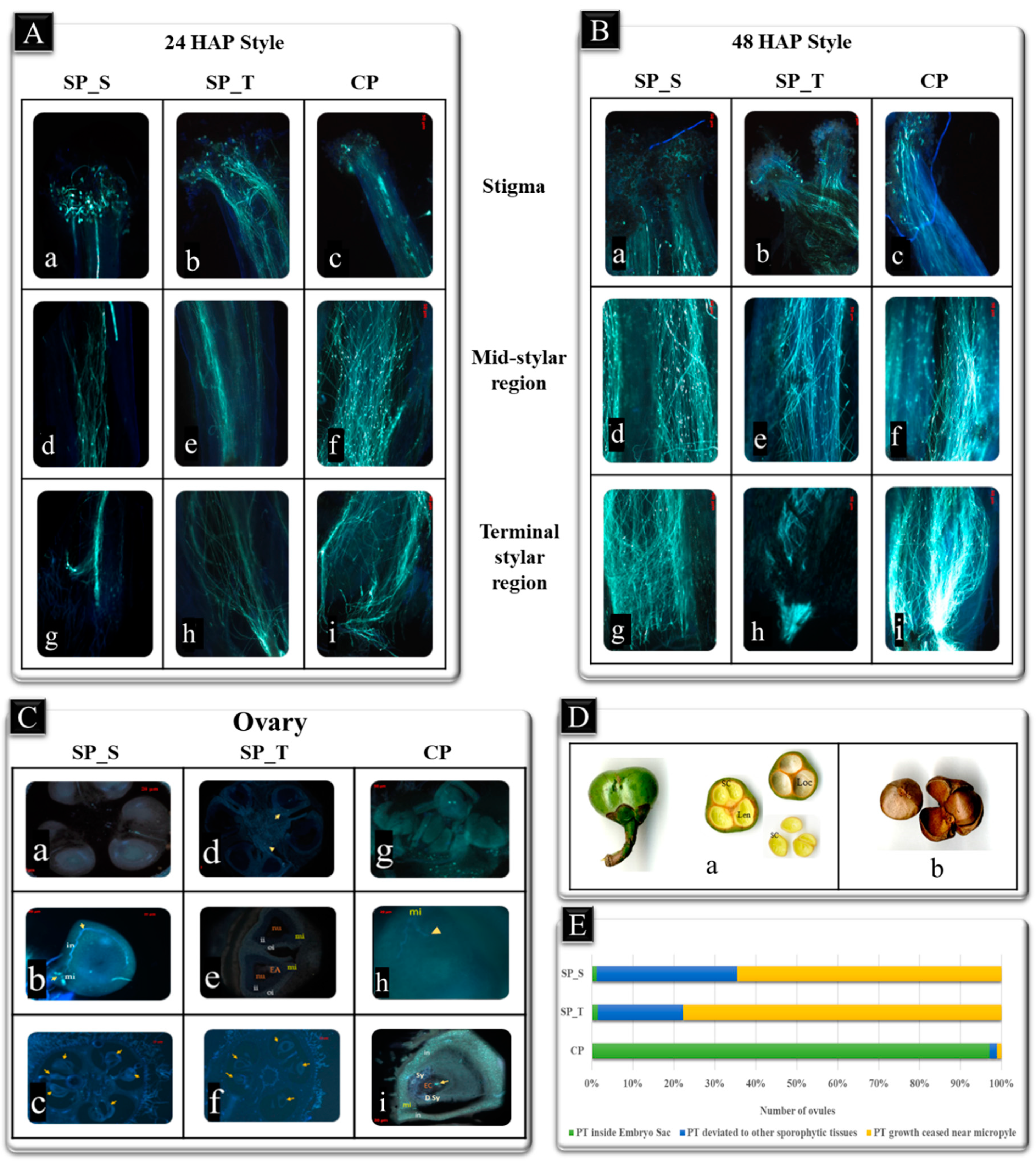 Ijms 20 00539 g001 Ijms 20 00539 g001