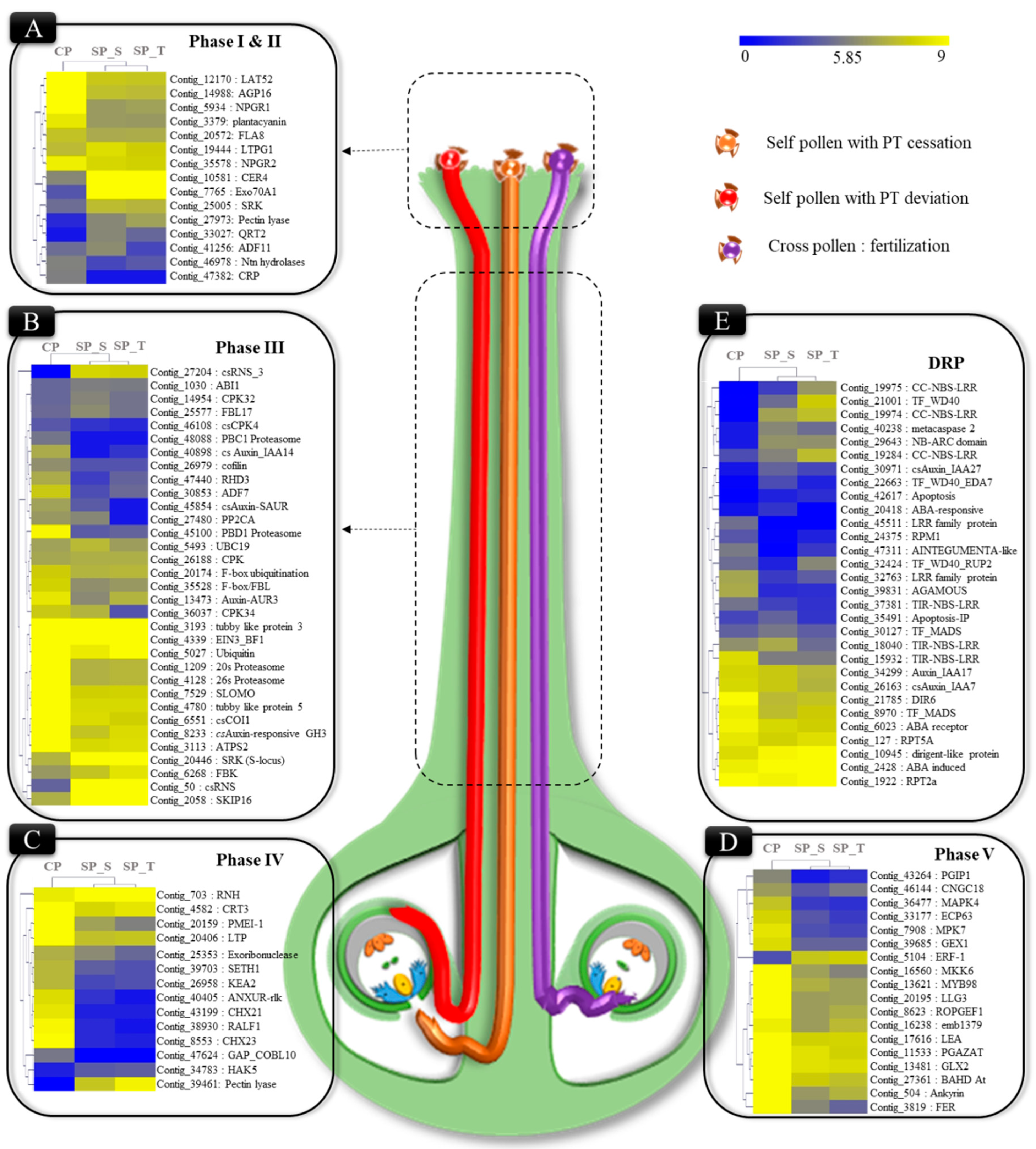 Ijms 20 00539 g002 Ijms 20 00539 g002