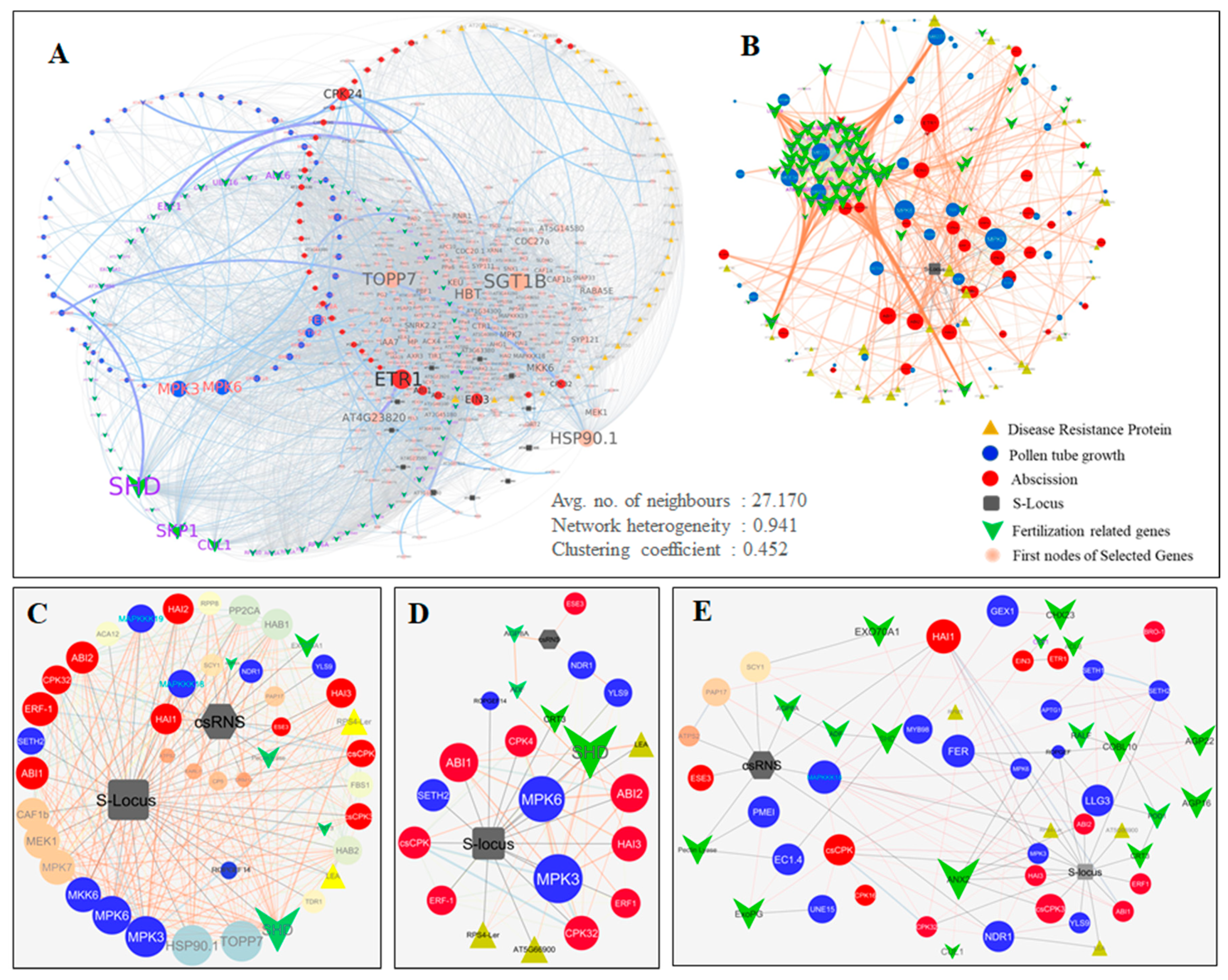 Ijms 20 00539 g003 Ijms 20 00539 g003