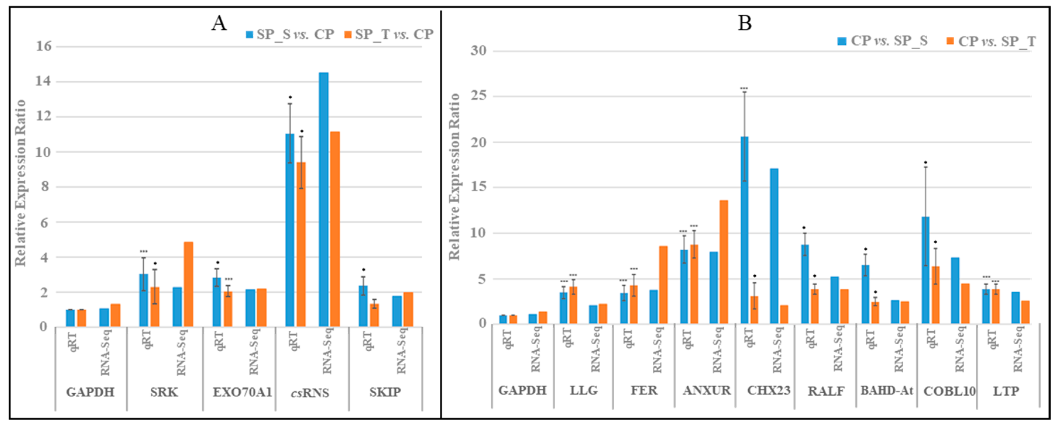 Ijms 20 00539 g004 Ijms 20 00539 g004