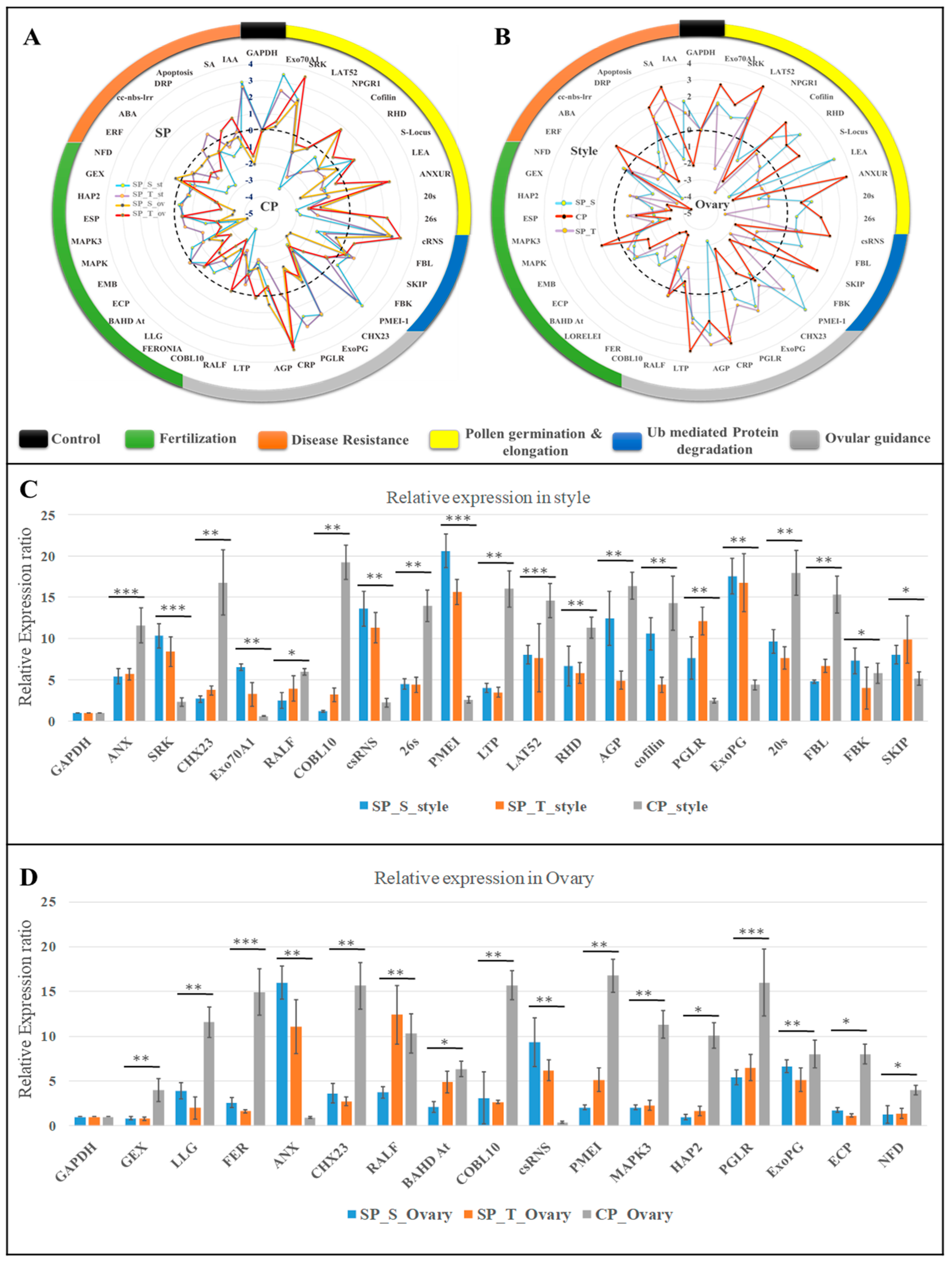 Ijms 20 00539 g007 Ijms 20 00539 g007