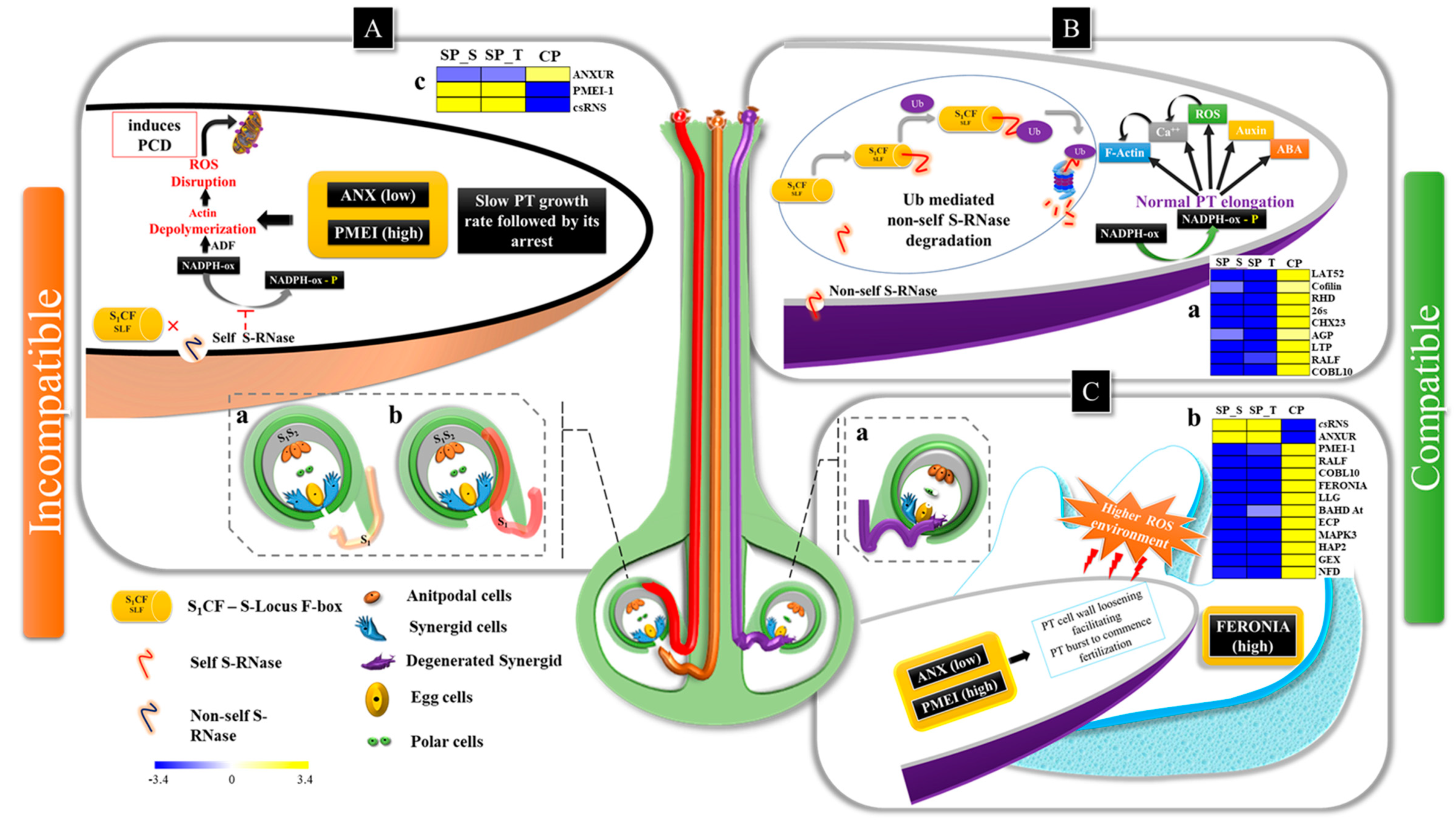 Ijms 20 00539 g008 Ijms 20 00539 g008
