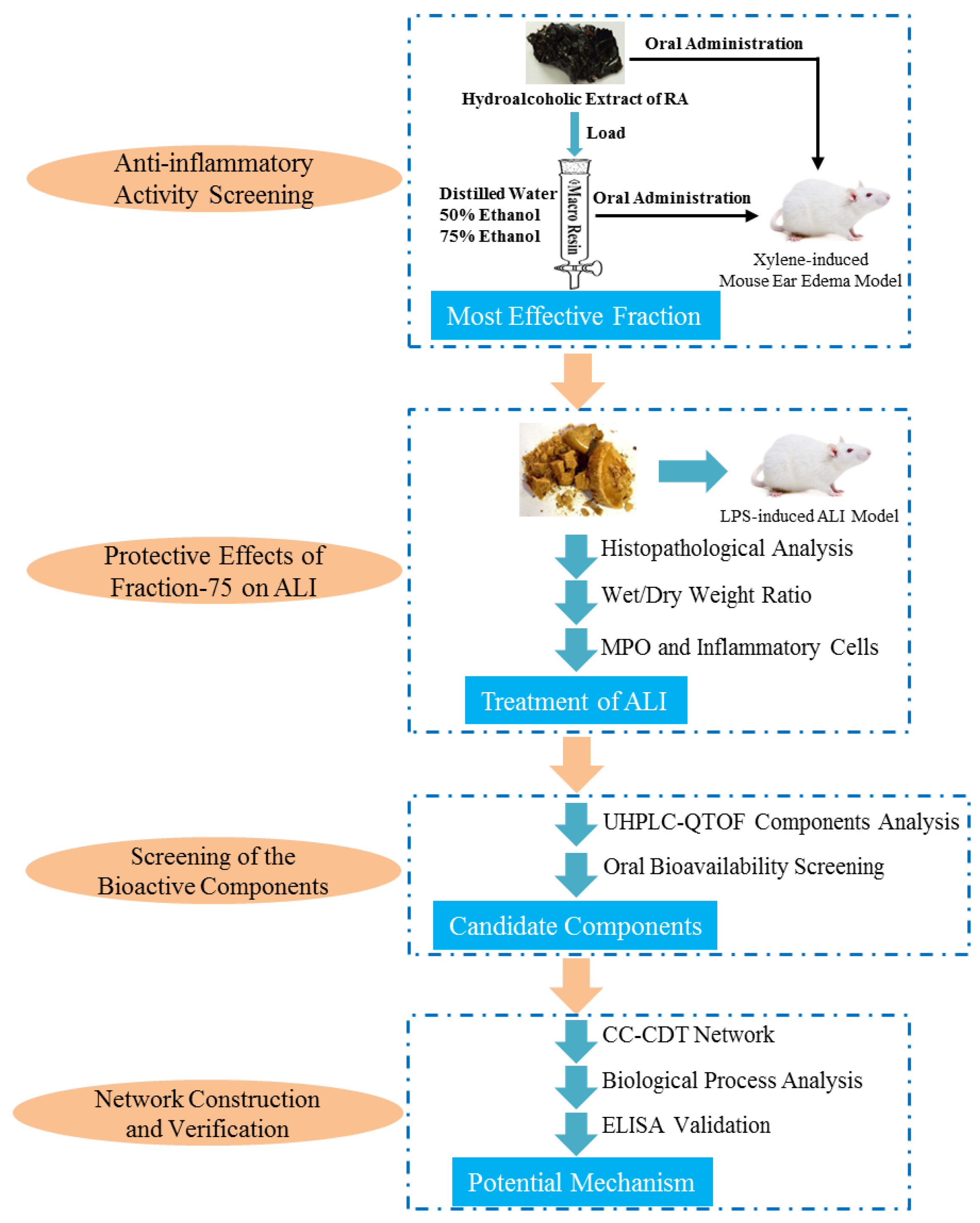 Ijms 20 00543 g001 Ijms 20 00543 g001