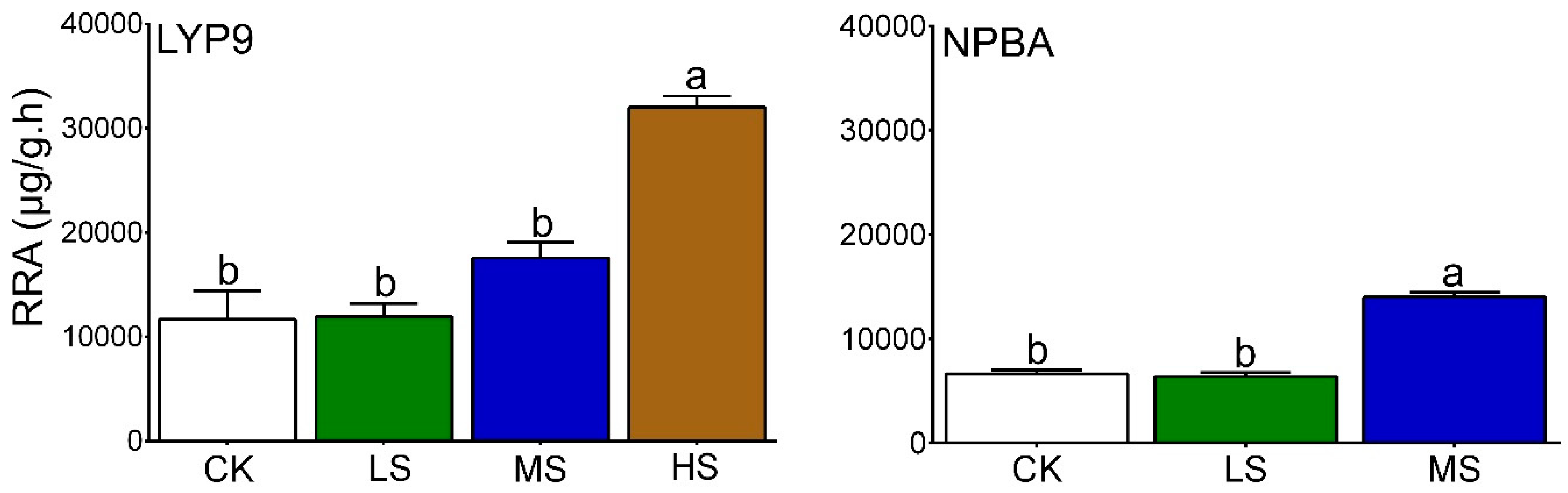 Ijms 20 00547 g003 Ijms 20 00547 g003