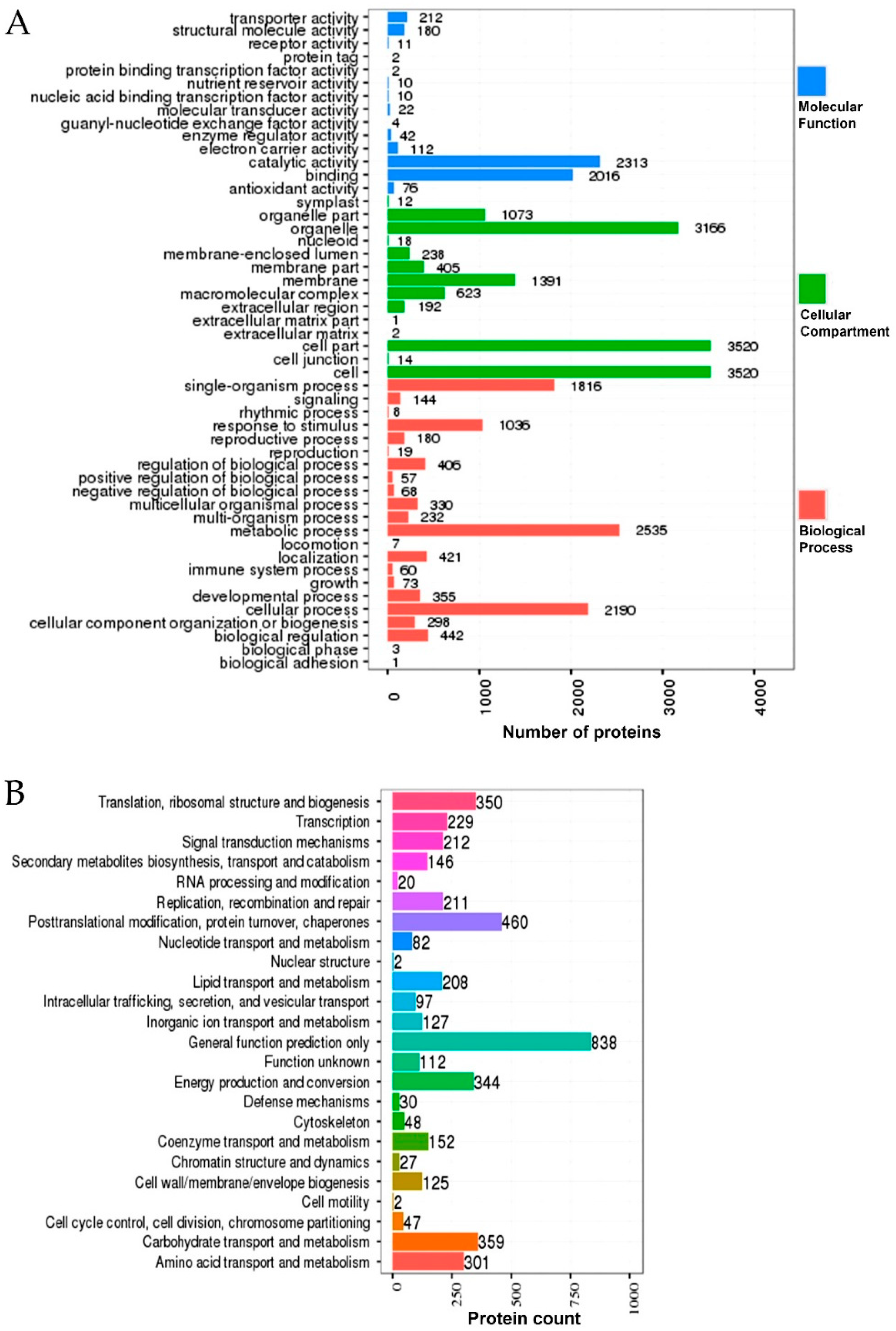 Ijms 20 00547 g005 Ijms 20 00547 g005