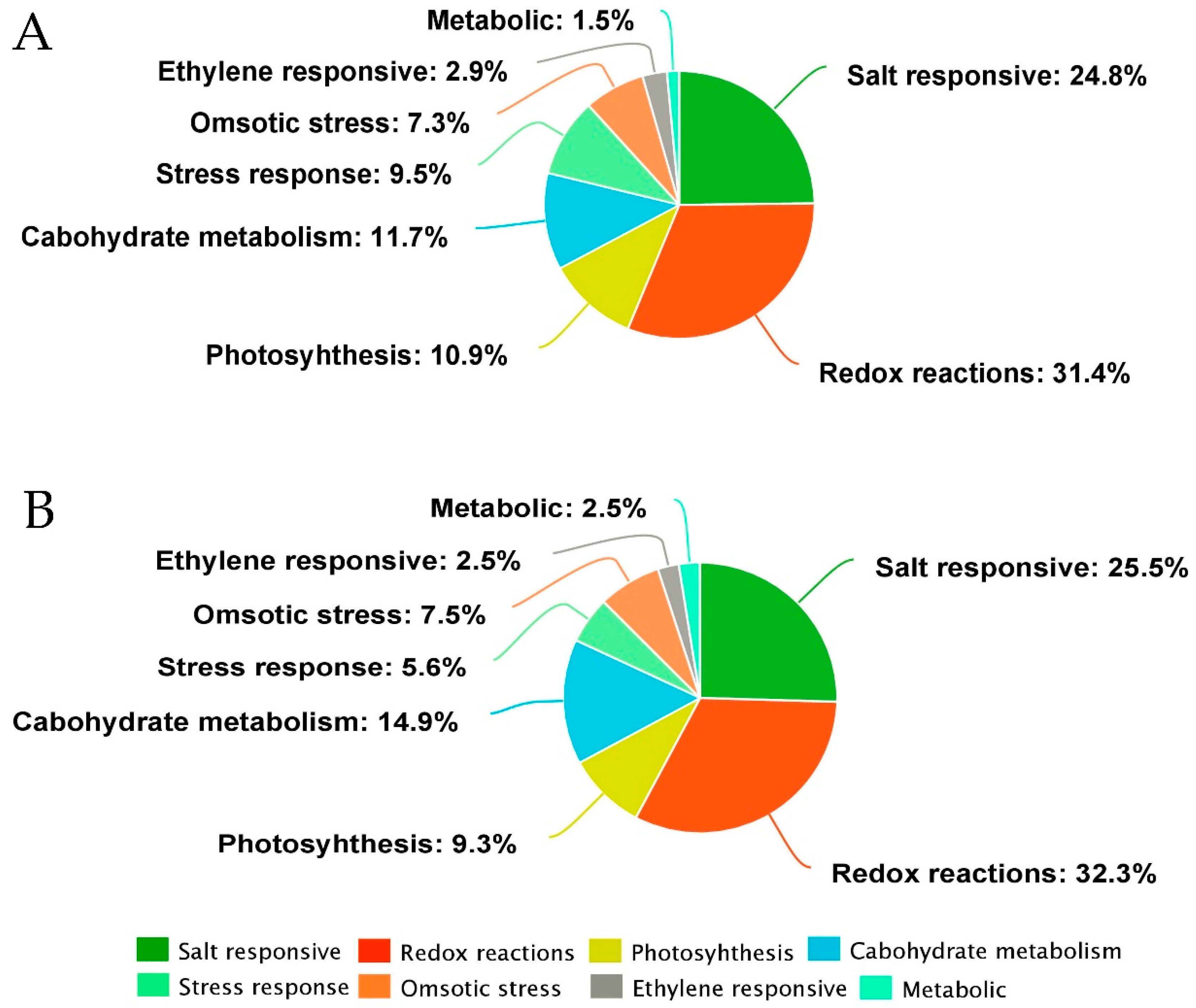 Ijms 20 00547 g007 Ijms 20 00547 g007