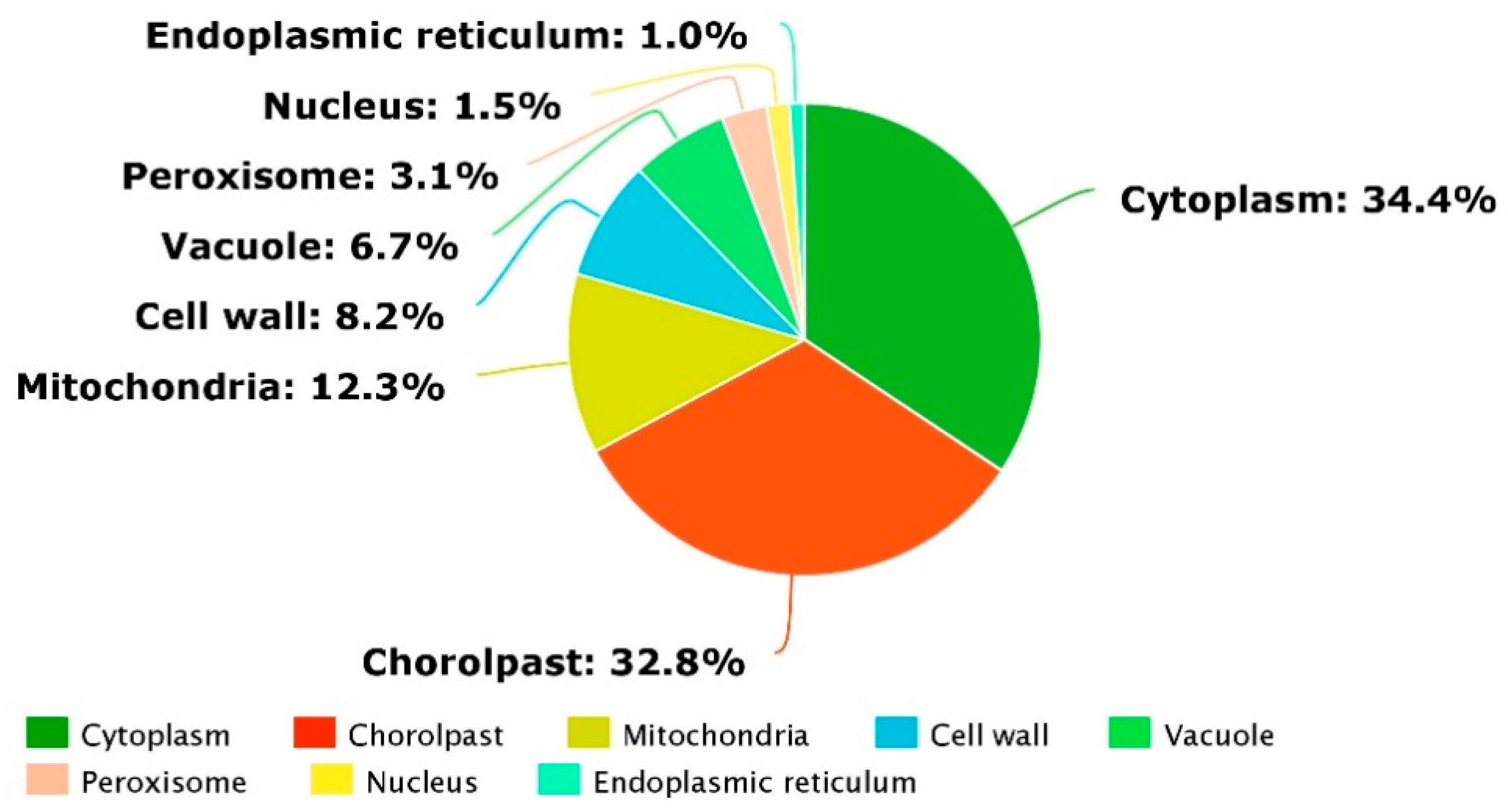 Ijms 20 00547 g008 Ijms 20 00547 g008