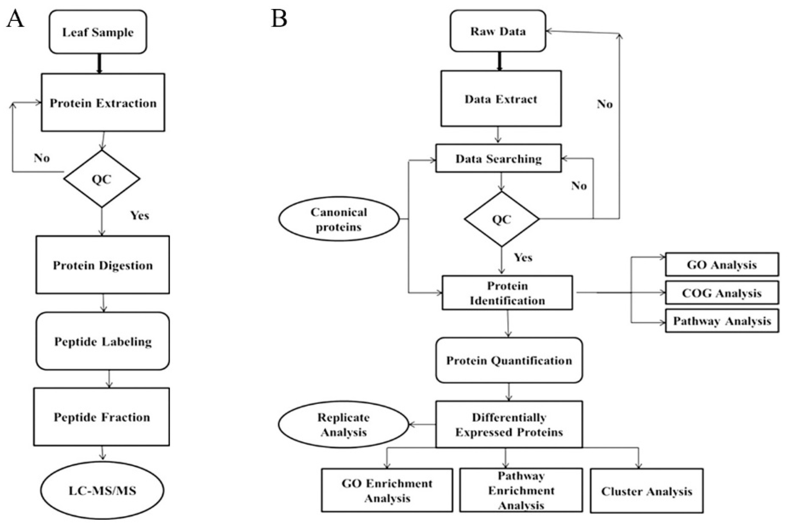 Ijms 20 00547 g009 Ijms 20 00547 g009
