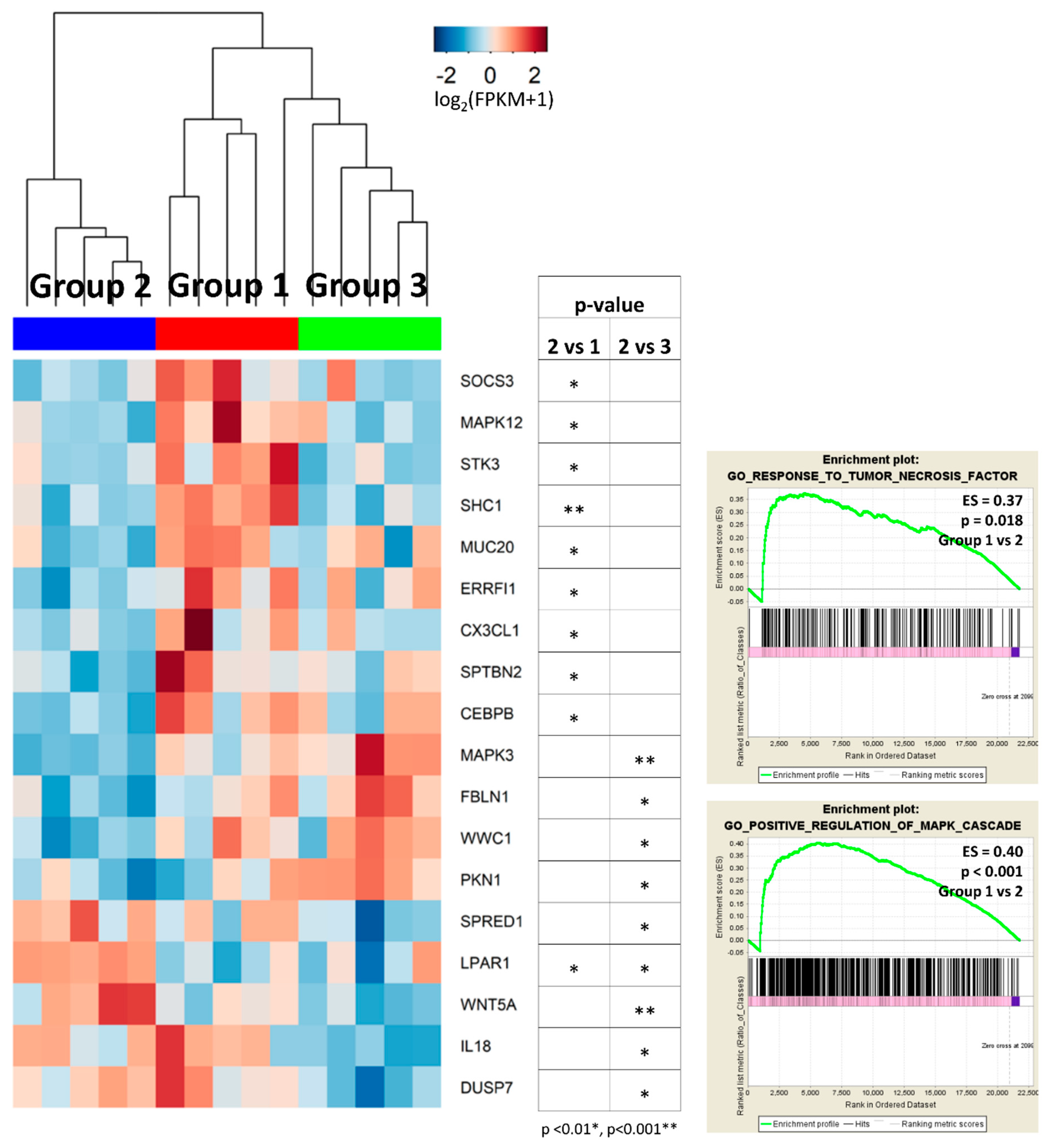 Ijms 20 00570 g006
