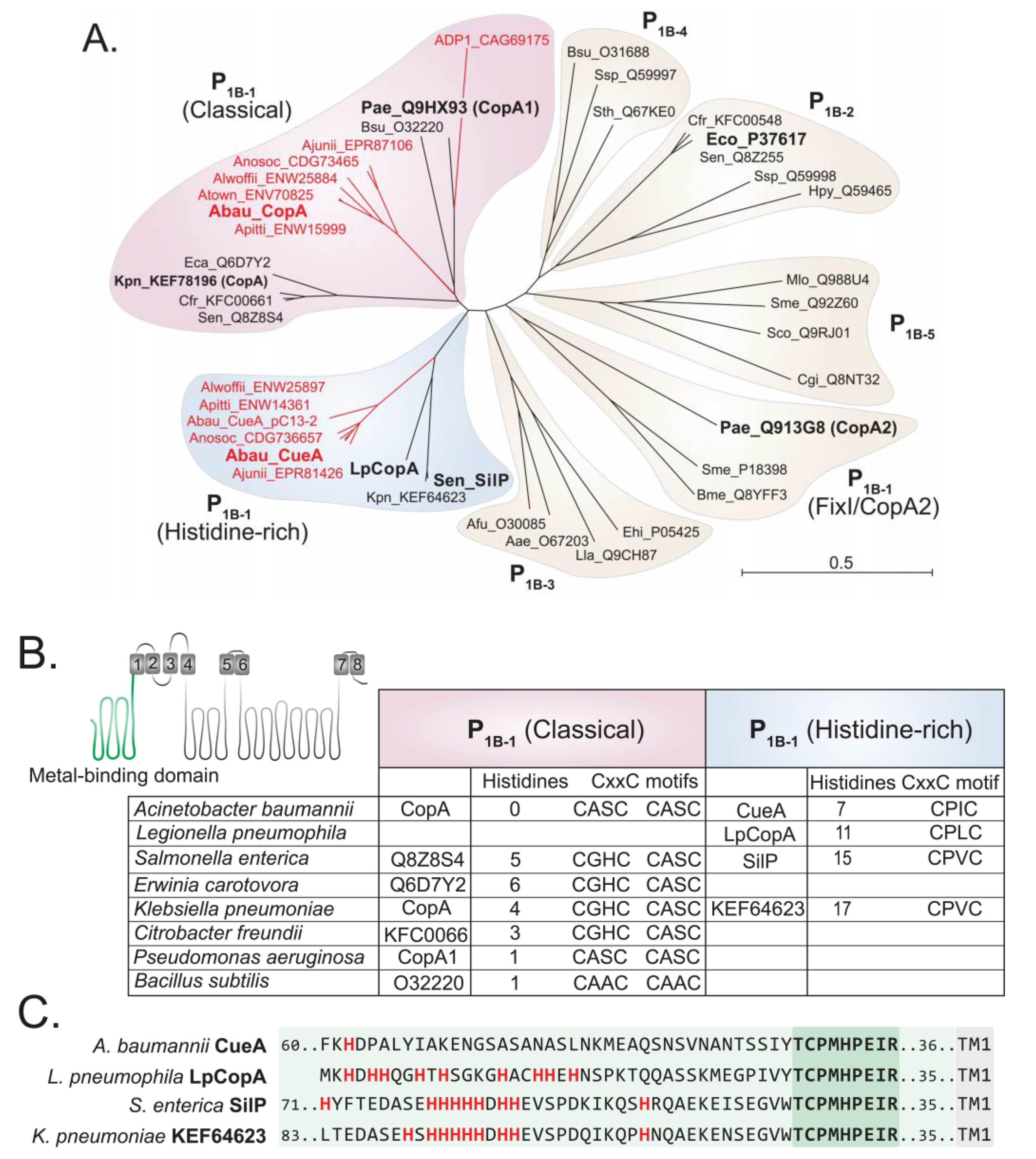 Ijms 20 00575 g001 Ijms 20 00575 g001