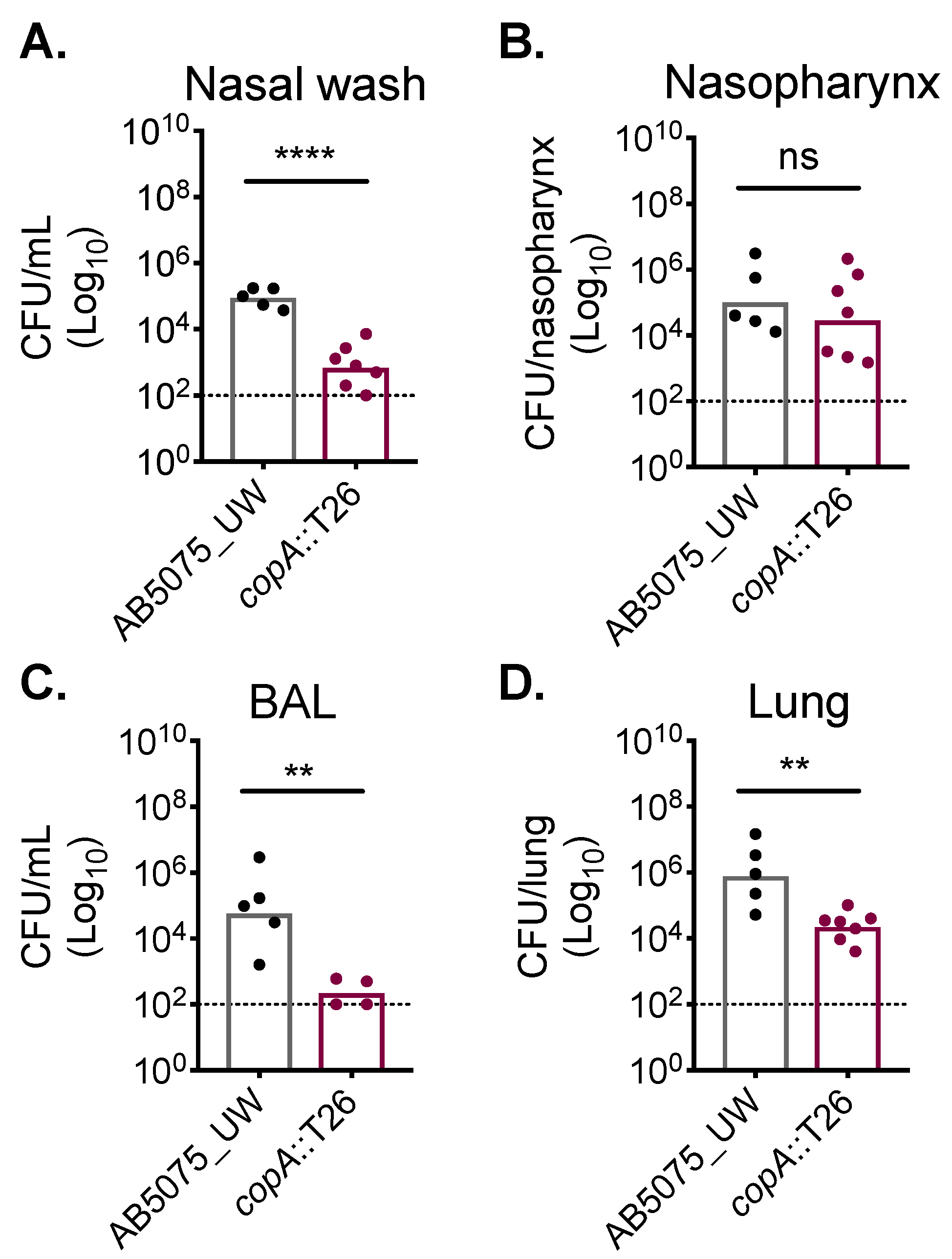 Ijms 20 00575 g005 Ijms 20 00575 g005