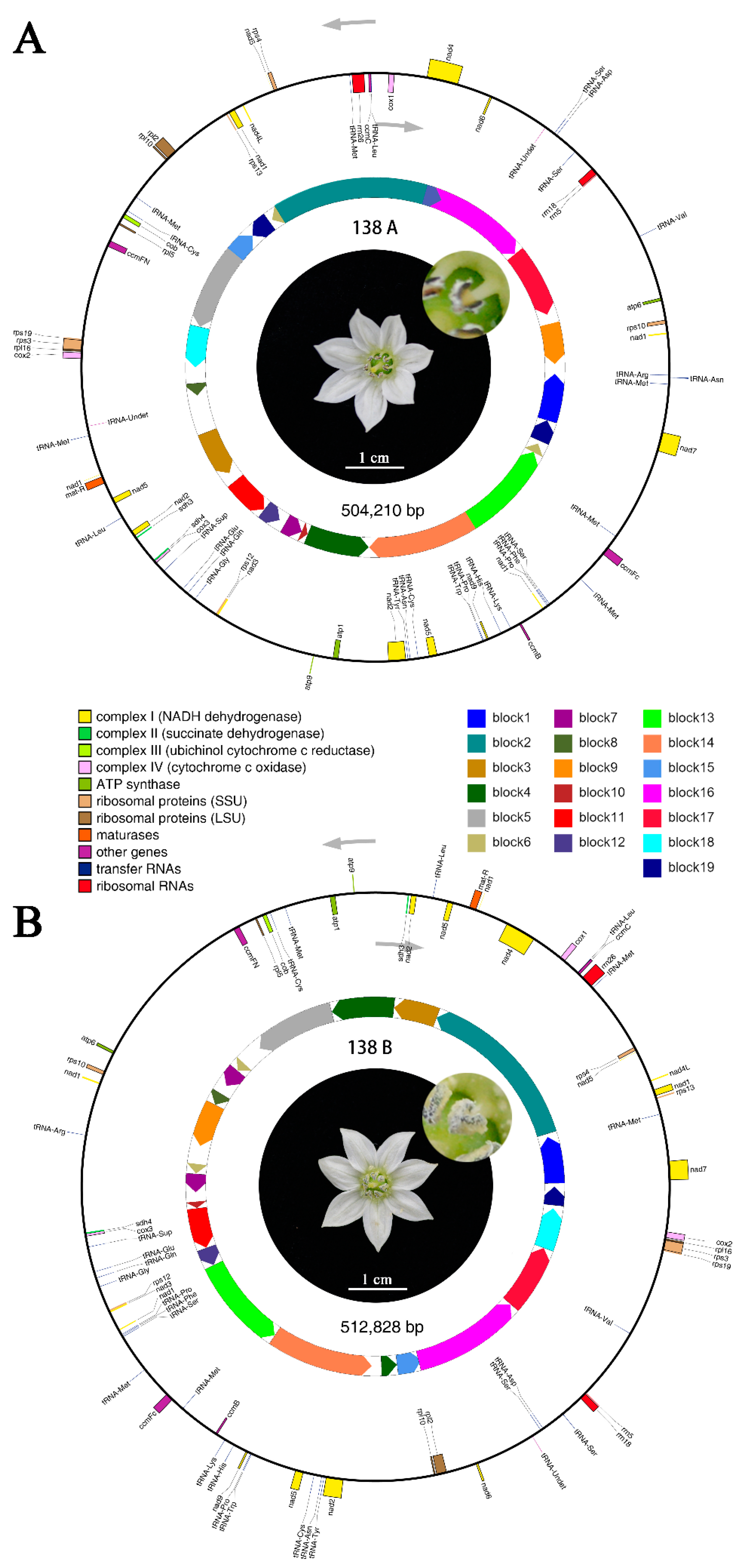 Ijms 20 00578 g001 Ijms 20 00578 g001