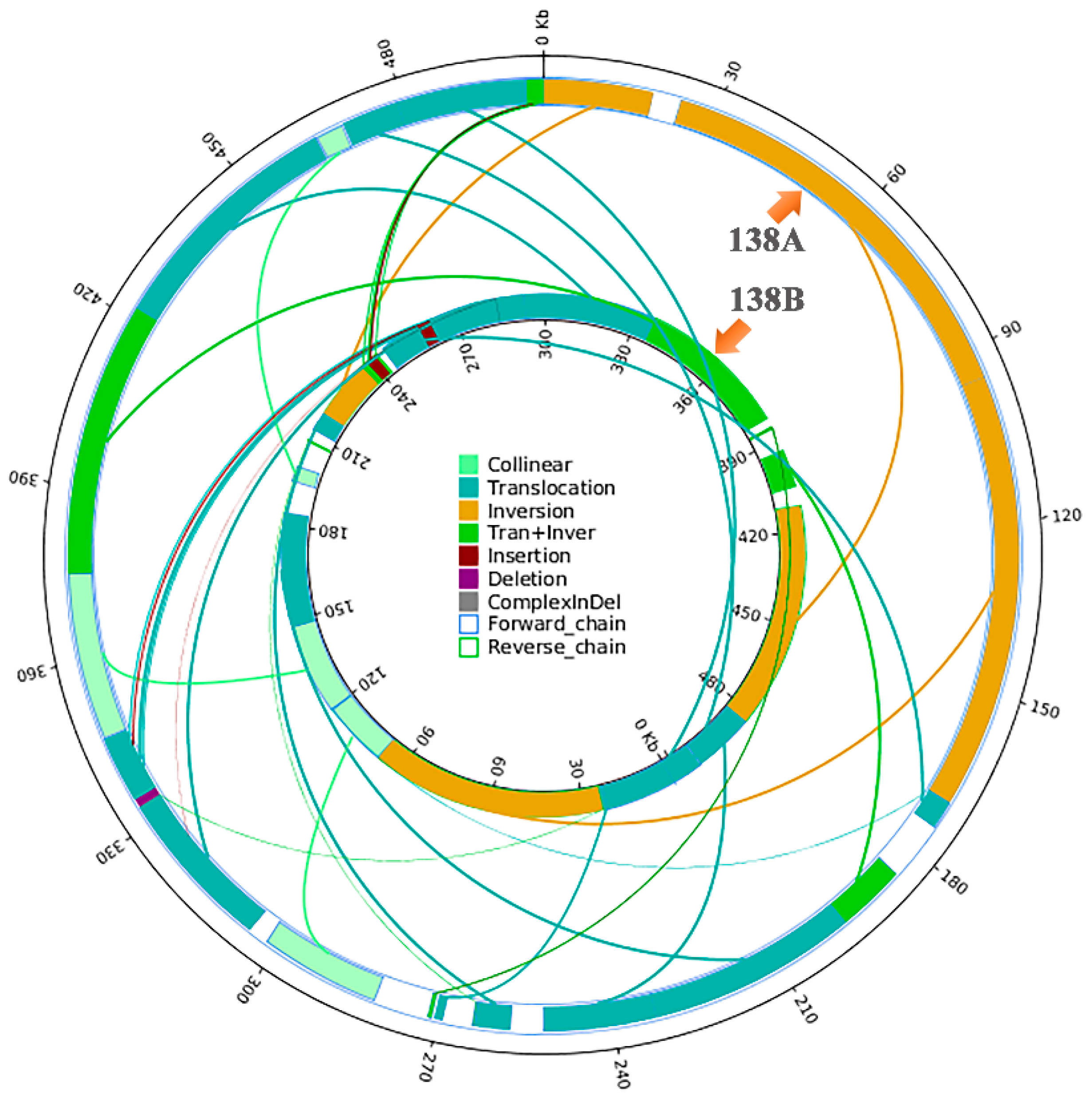 Ijms 20 00578 g003 Ijms 20 00578 g003