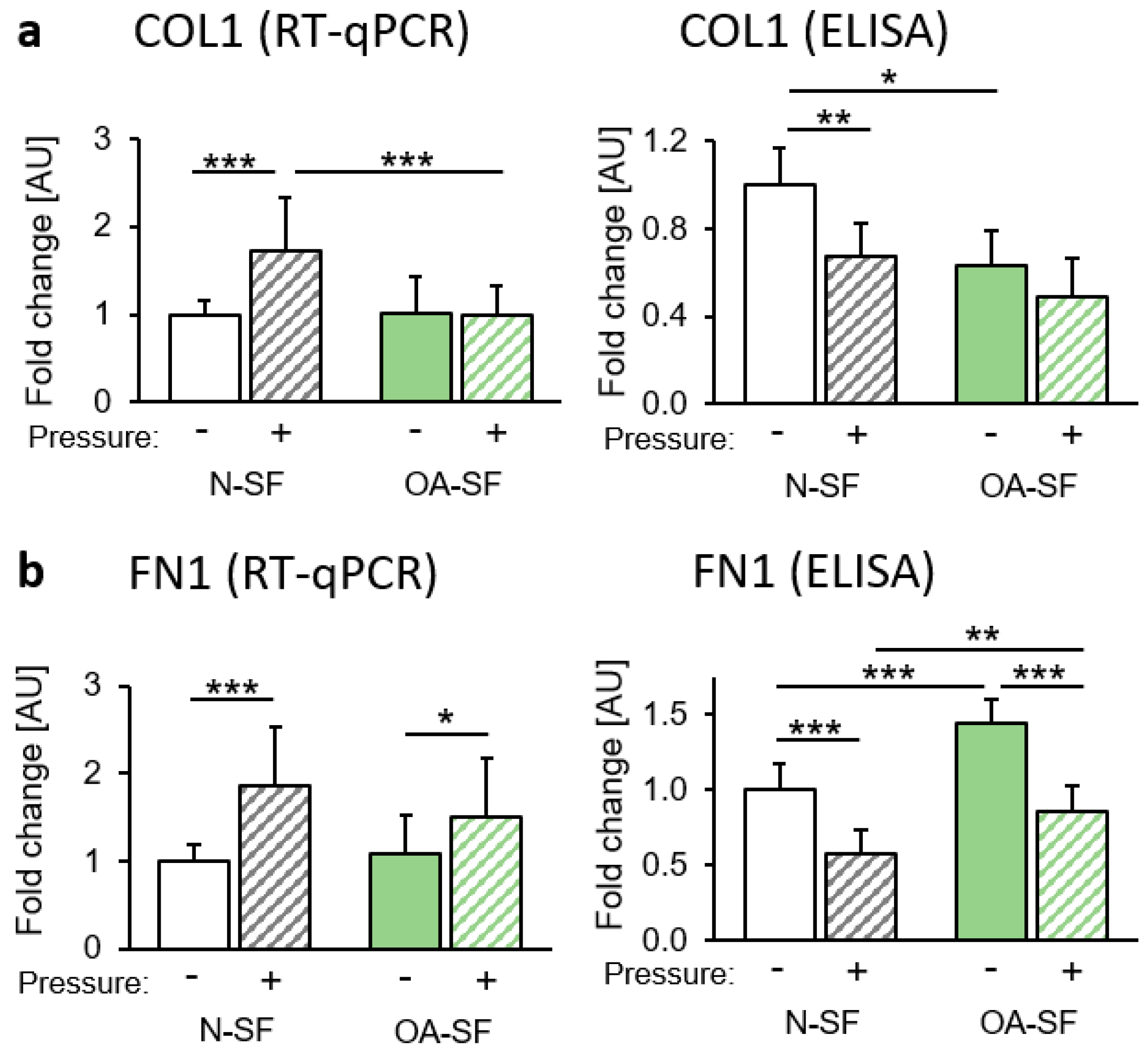 Ijms 20 00585 g002 Ijms 20 00585 g002