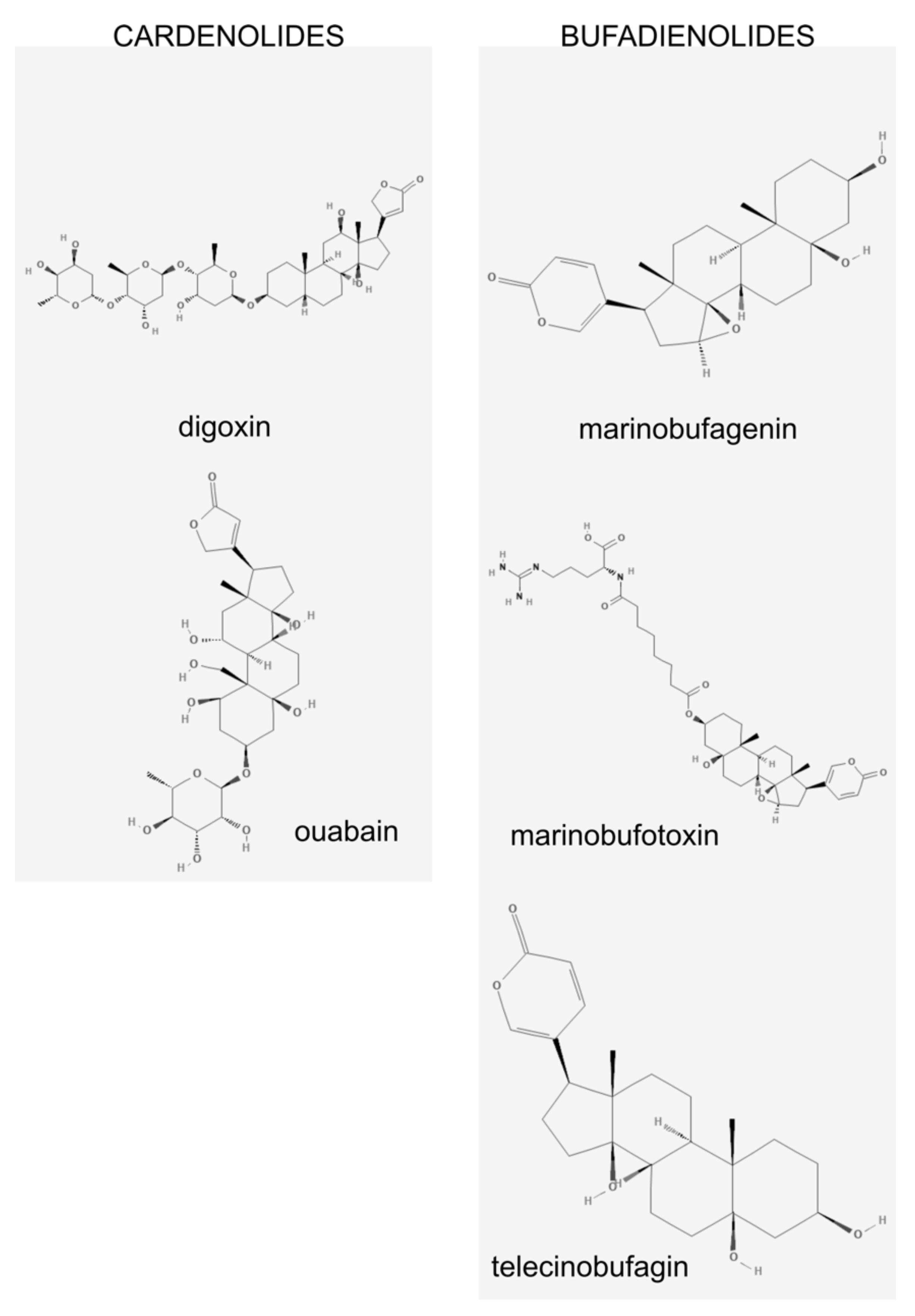 Ijms 20 00590 g001 Ijms 20 00590 g001