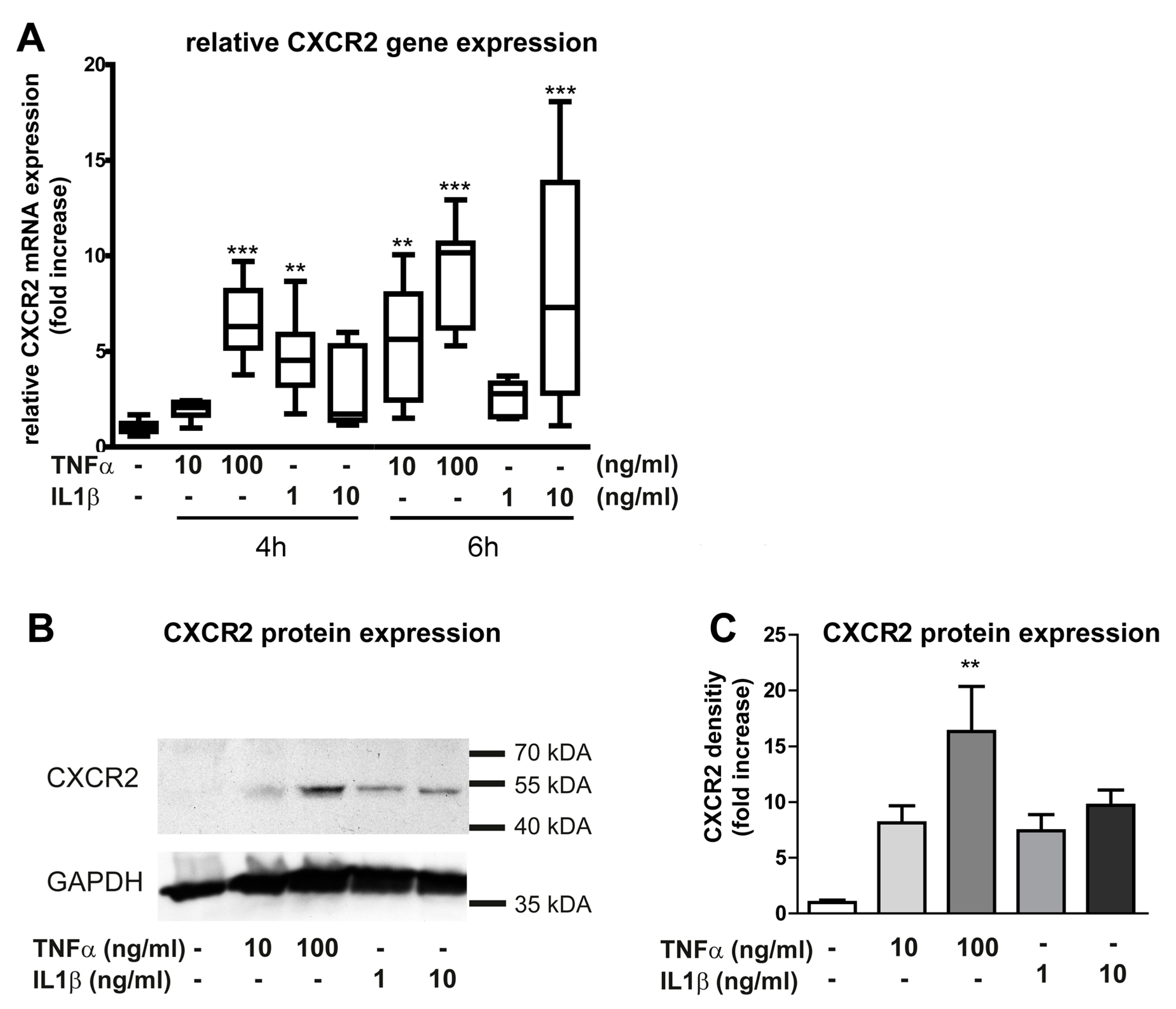 Ijms 20 00602 g001 Ijms 20 00602 g001