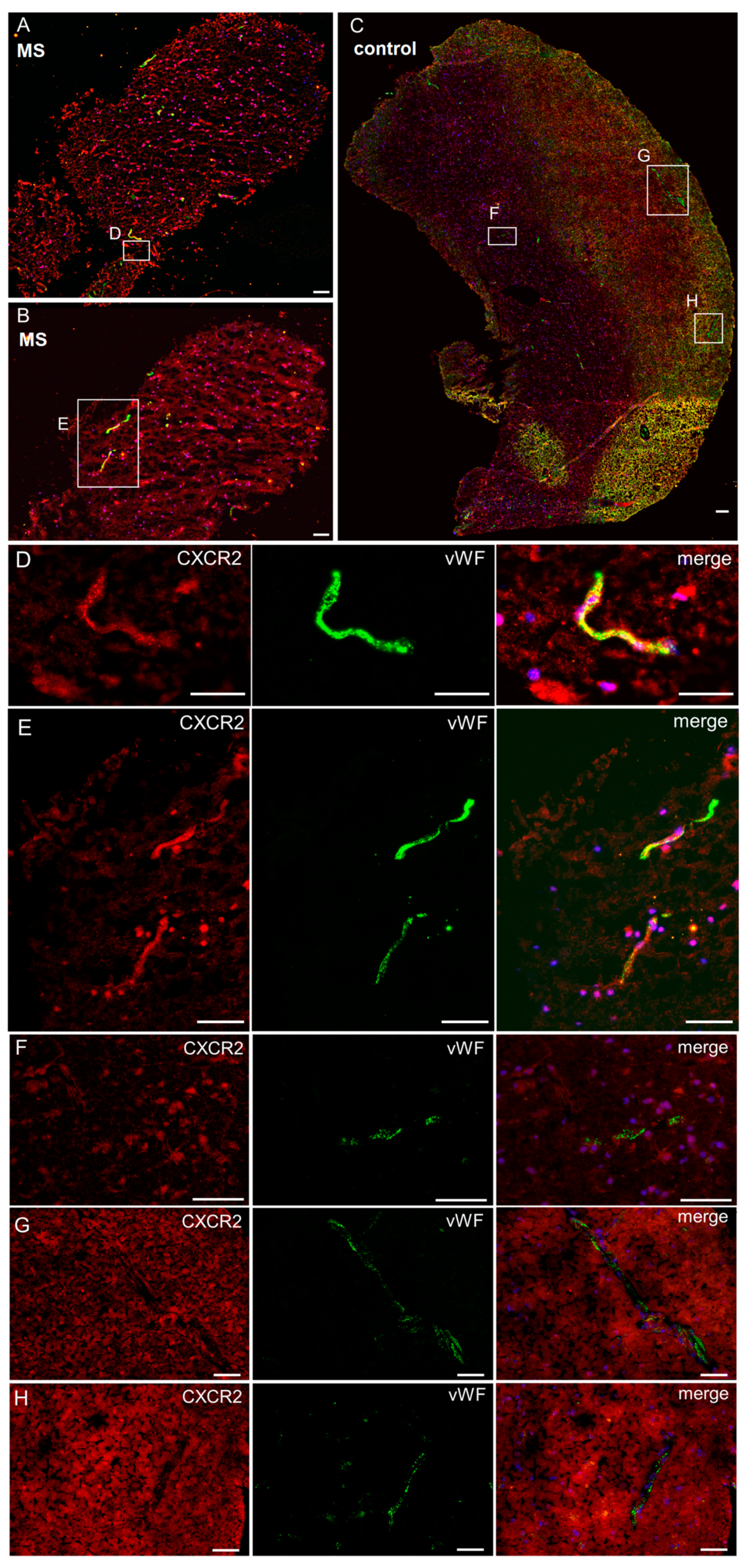Ijms 20 00602 g002 Ijms 20 00602 g002