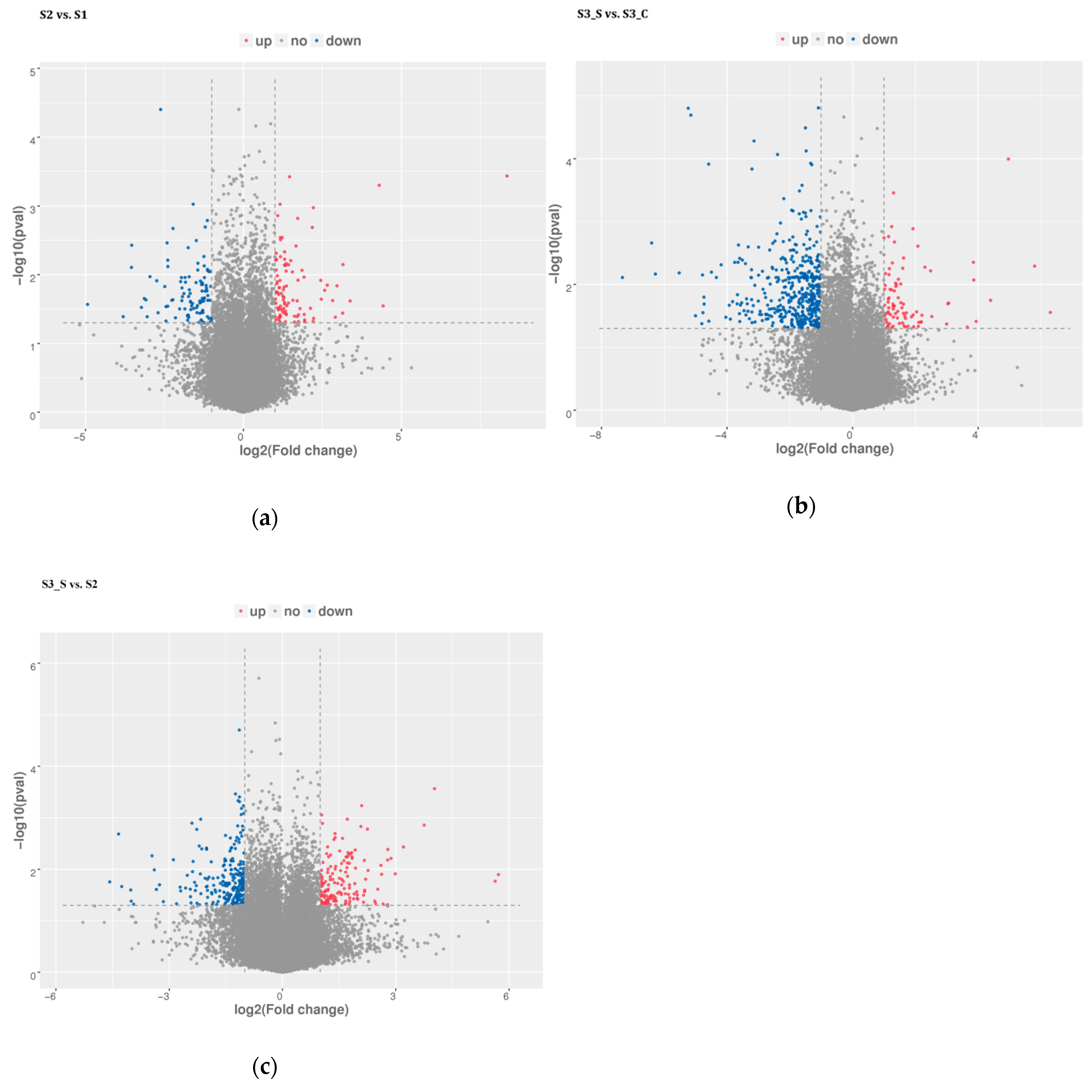 Ijms 20 00603 g004 Ijms 20 00603 g004
