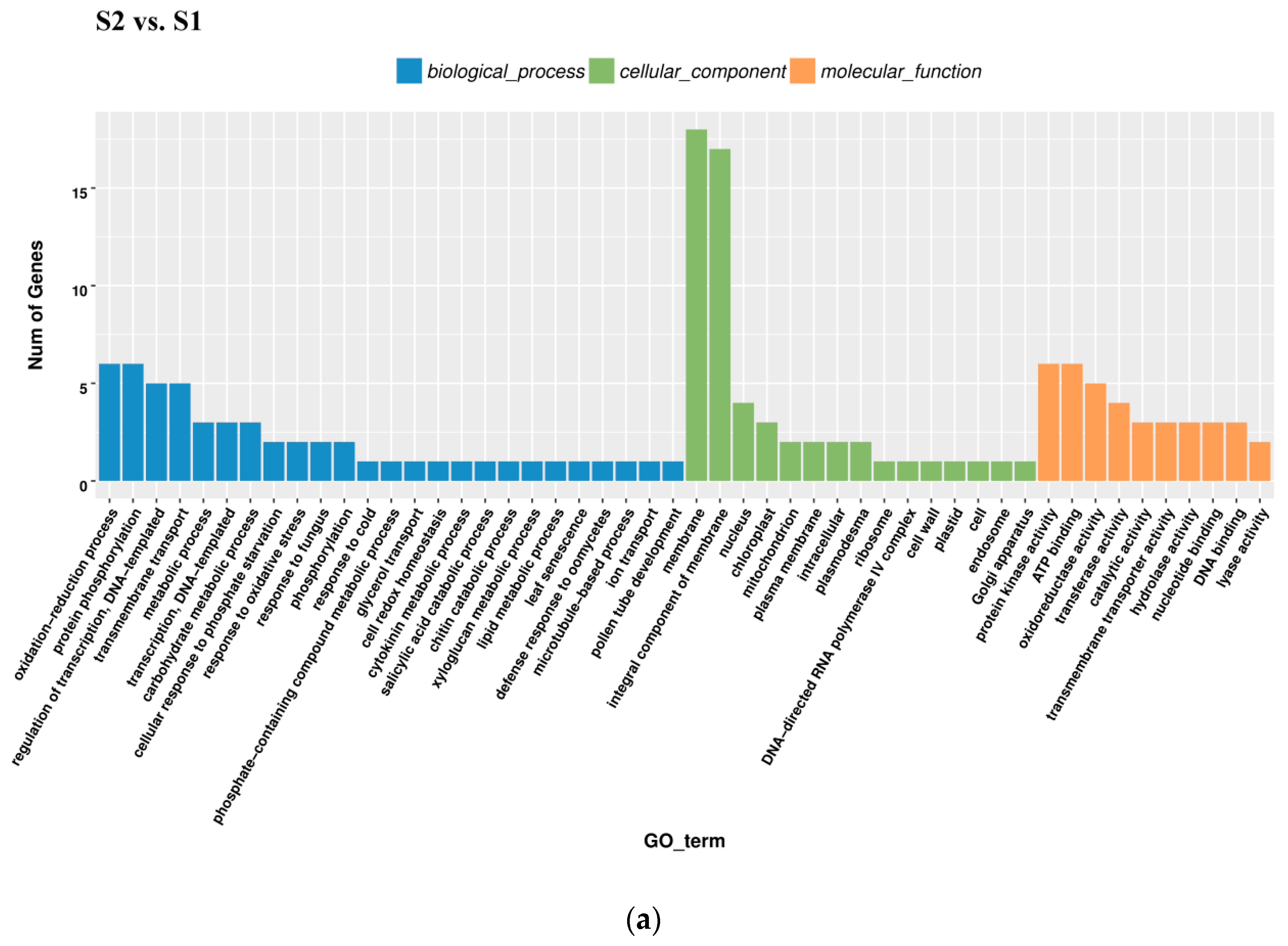 Ijms 20 00603 g005a Ijms 20 00603 g005a
