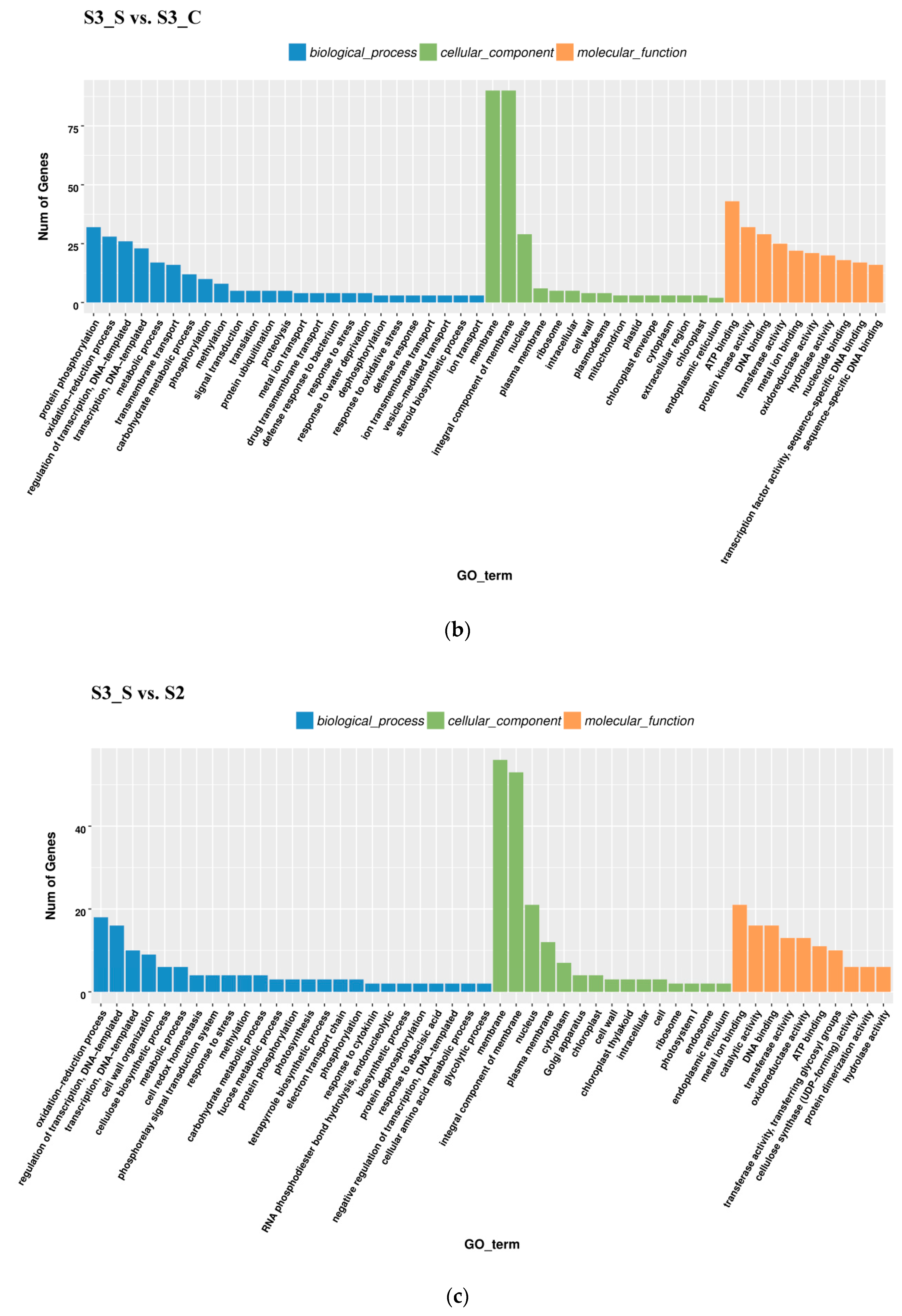 Ijms 20 00603 g005b Ijms 20 00603 g005b