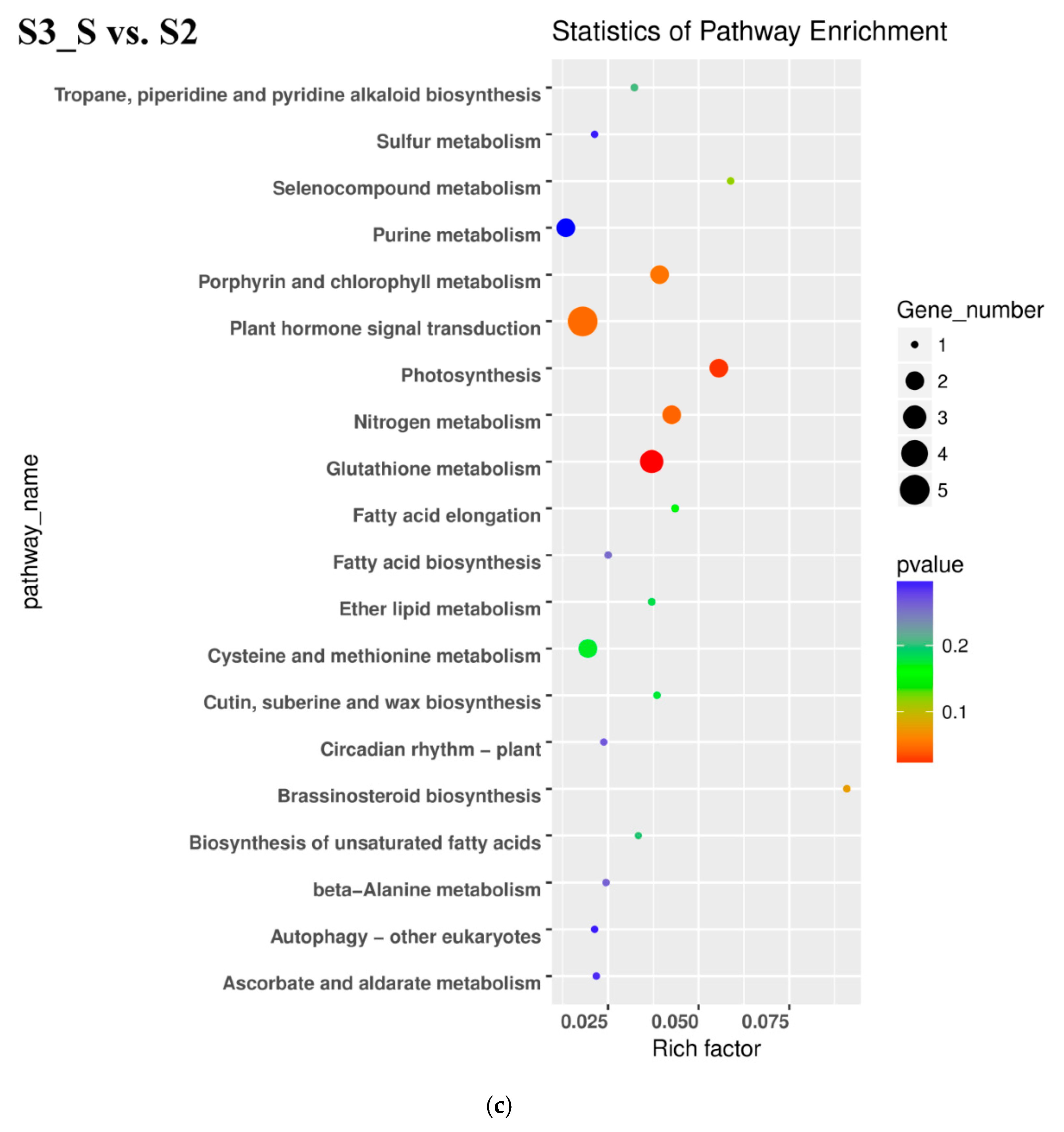 Ijms 20 00603 g006c Ijms 20 00603 g006c
