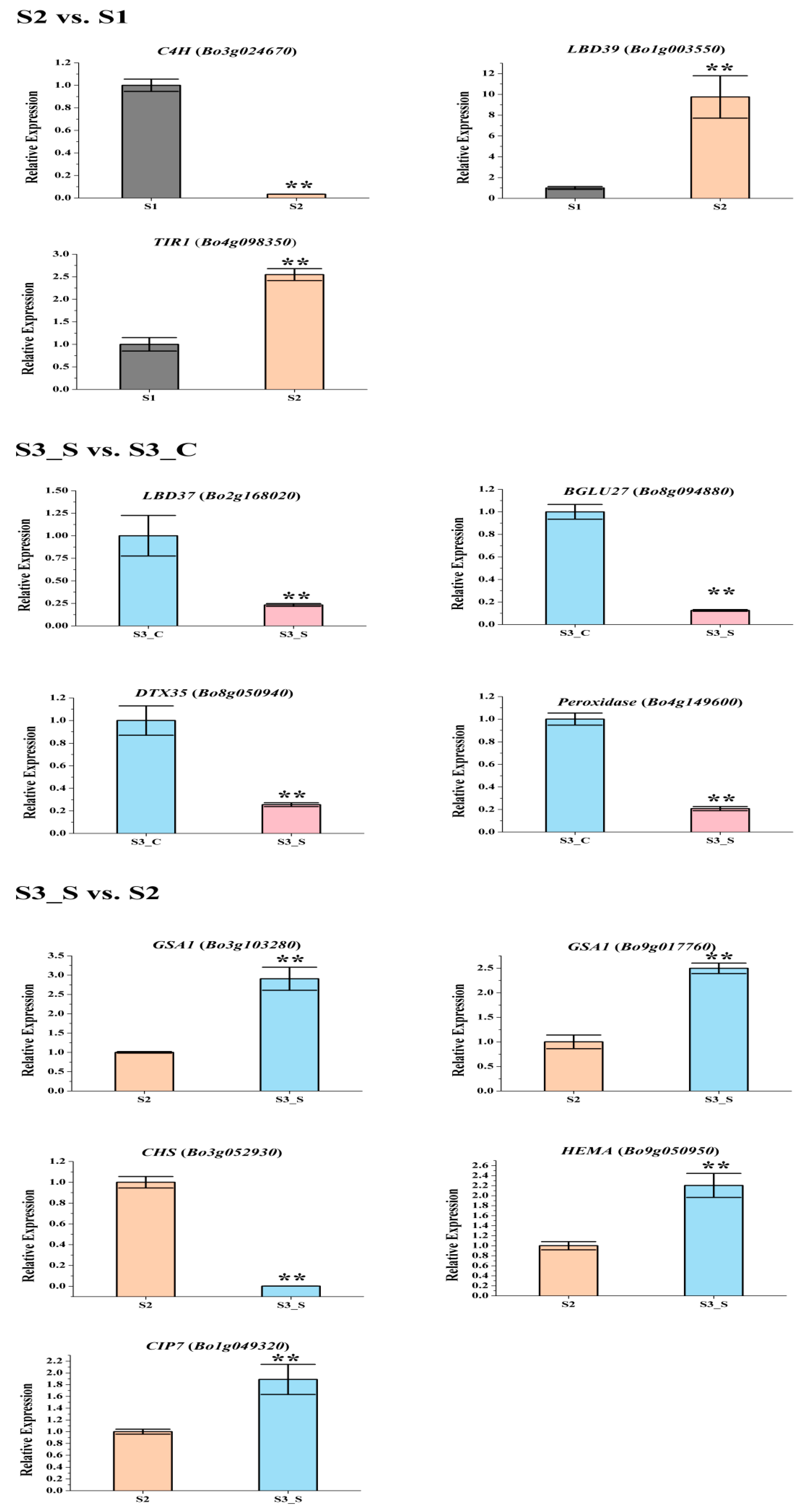 Ijms 20 00603 g007 Ijms 20 00603 g007