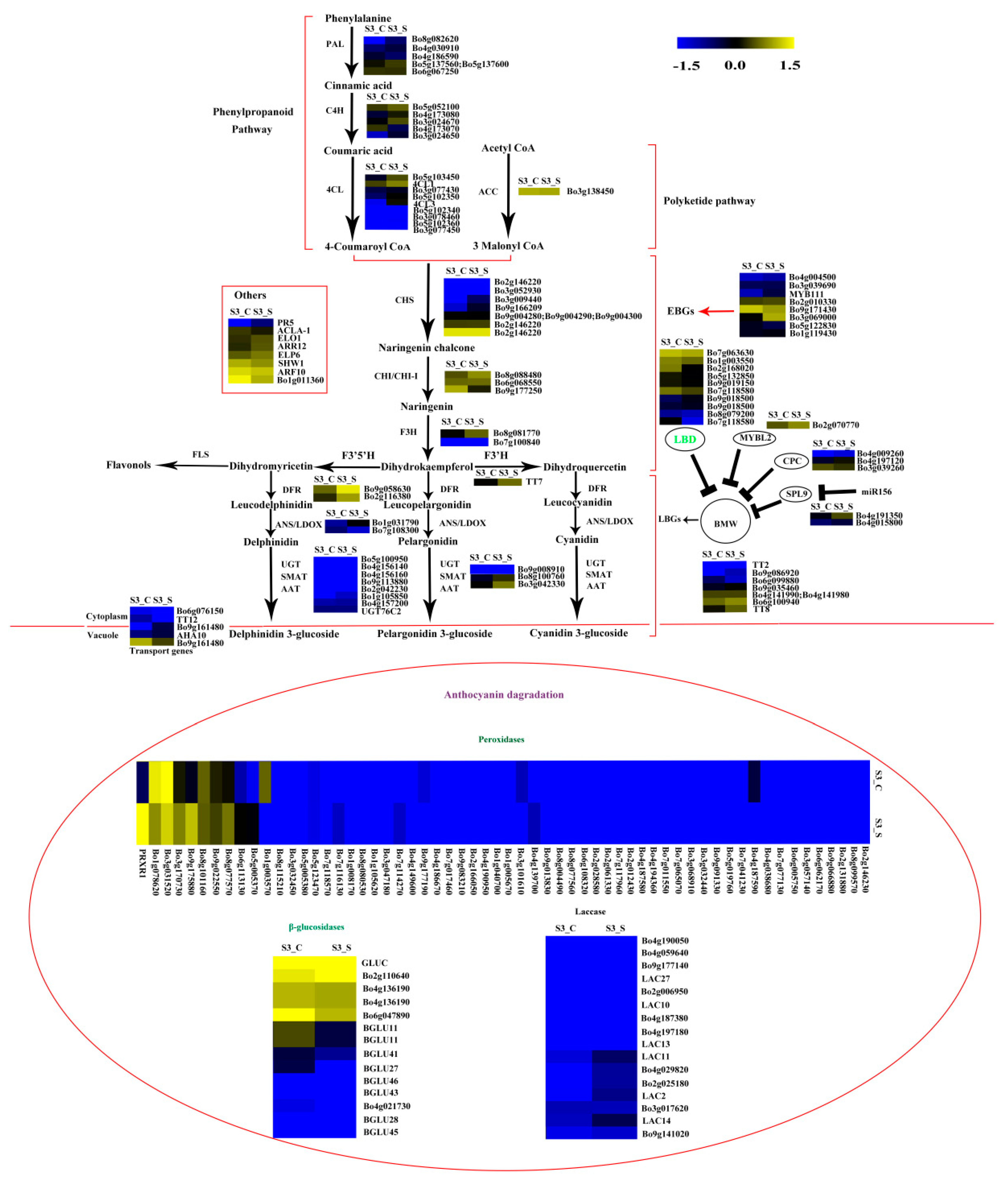 Ijms 20 00603 g009 Ijms 20 00603 g009