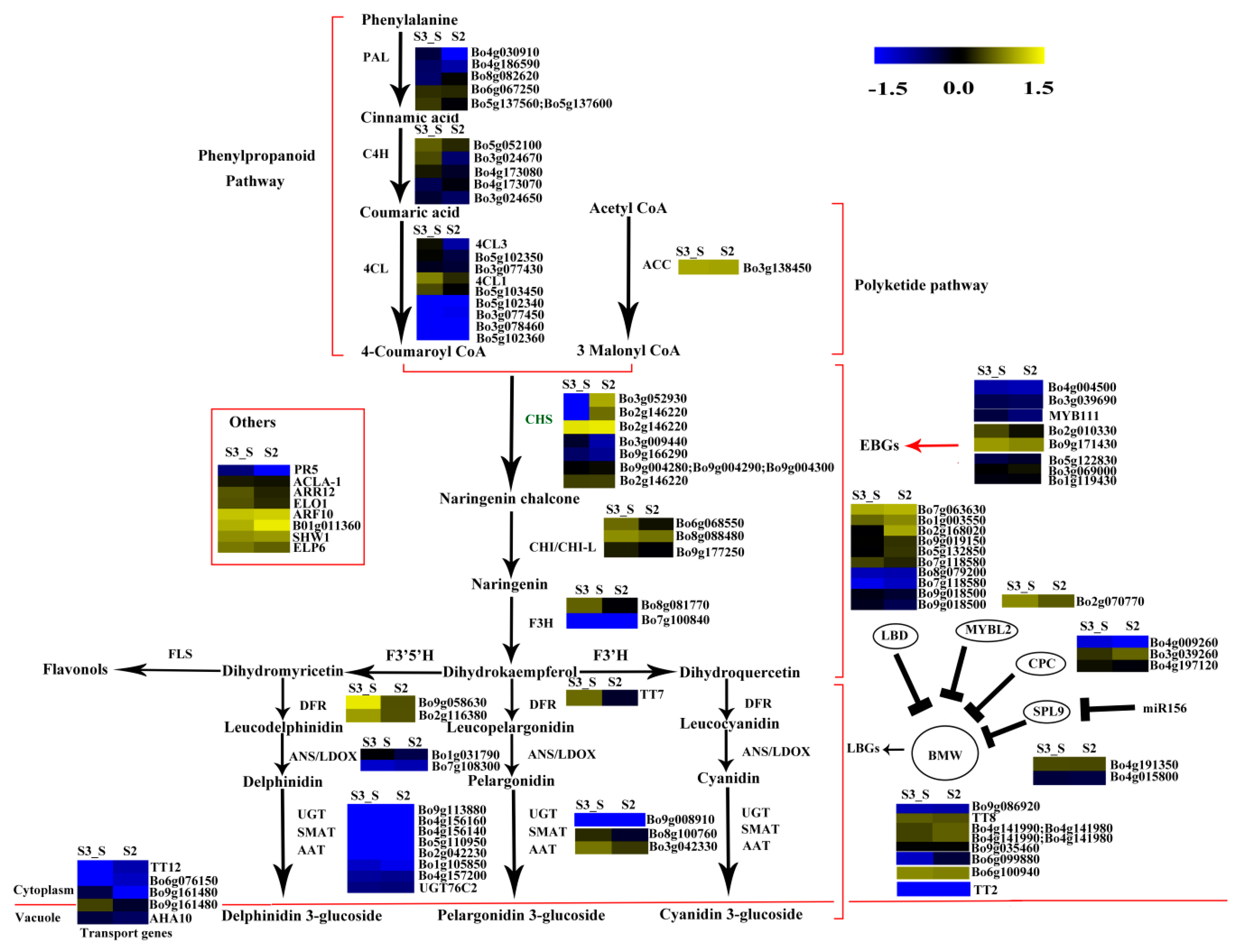 Ijms 20 00603 g010 Ijms 20 00603 g010