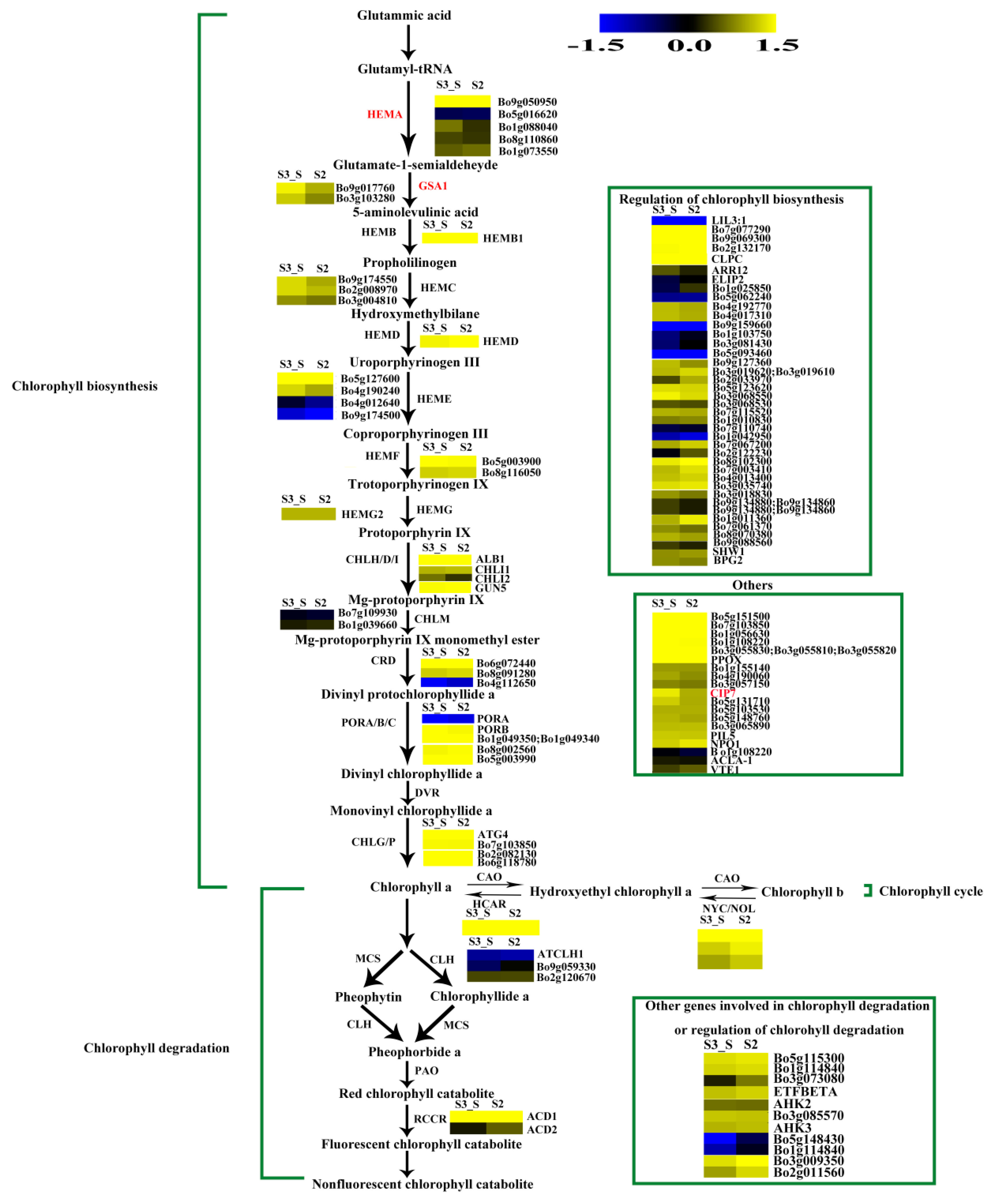Ijms 20 00603 g011 Ijms 20 00603 g011
