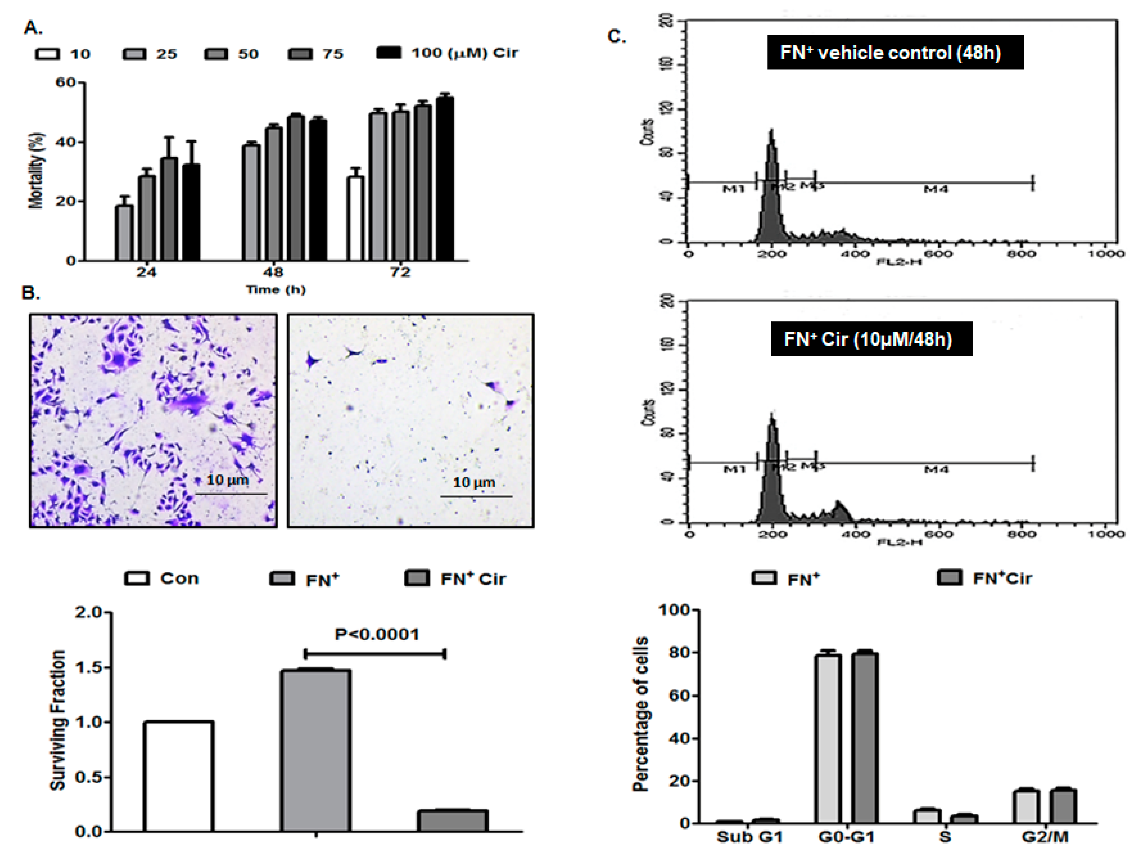 Ijms 20 00608 g001 Ijms 20 00608 g001