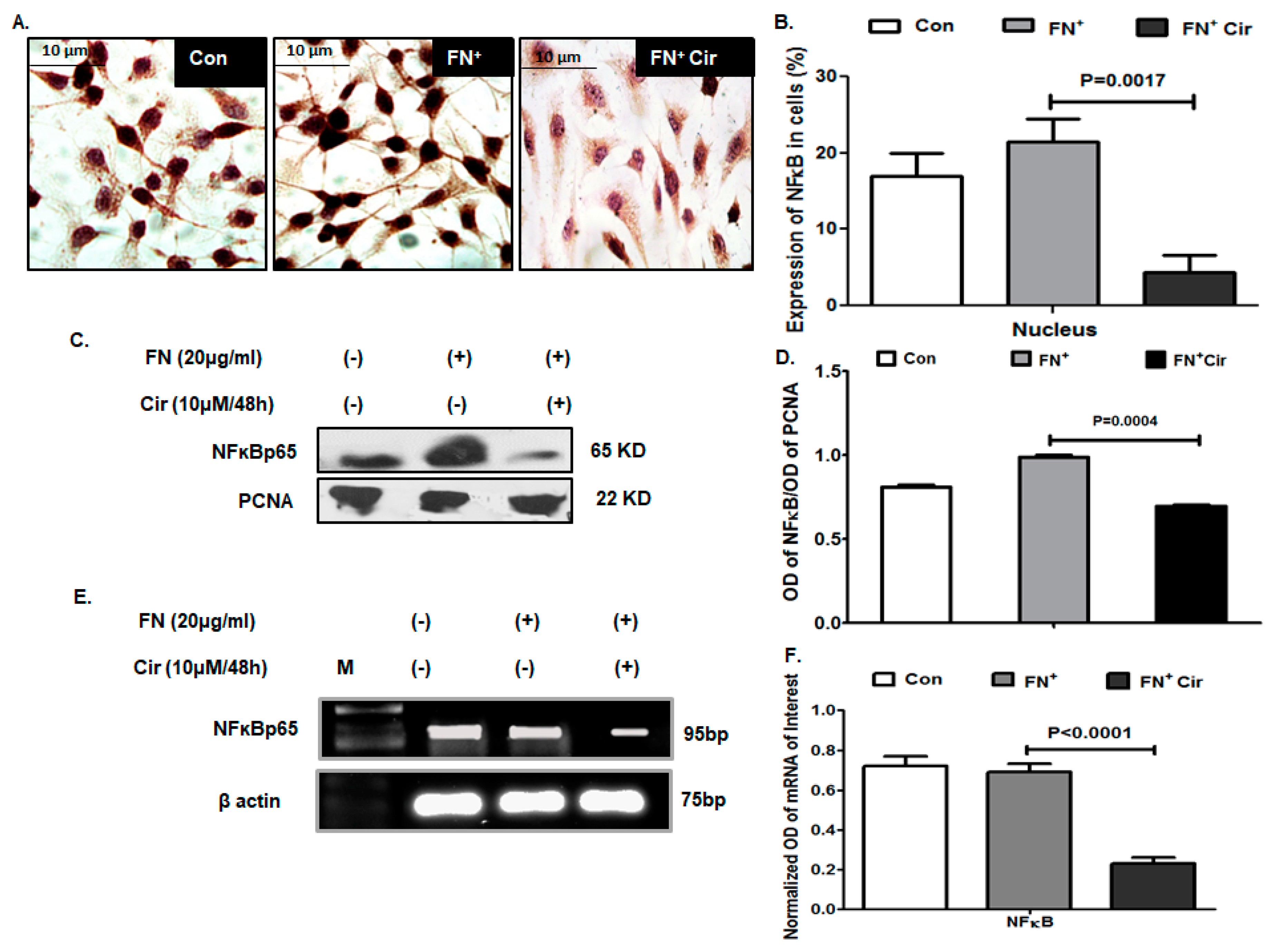 Ijms 20 00608 g007 Ijms 20 00608 g007