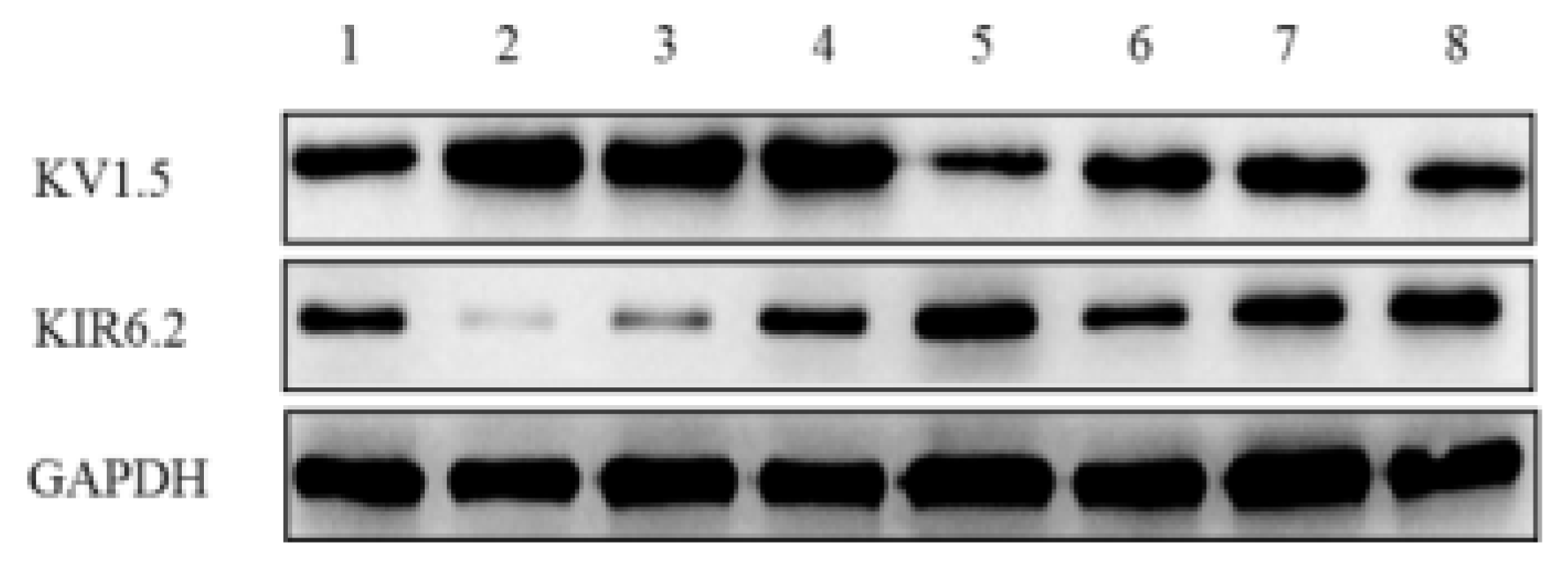 Ijms 20 00637 g007a Ijms 20 00637 g007a