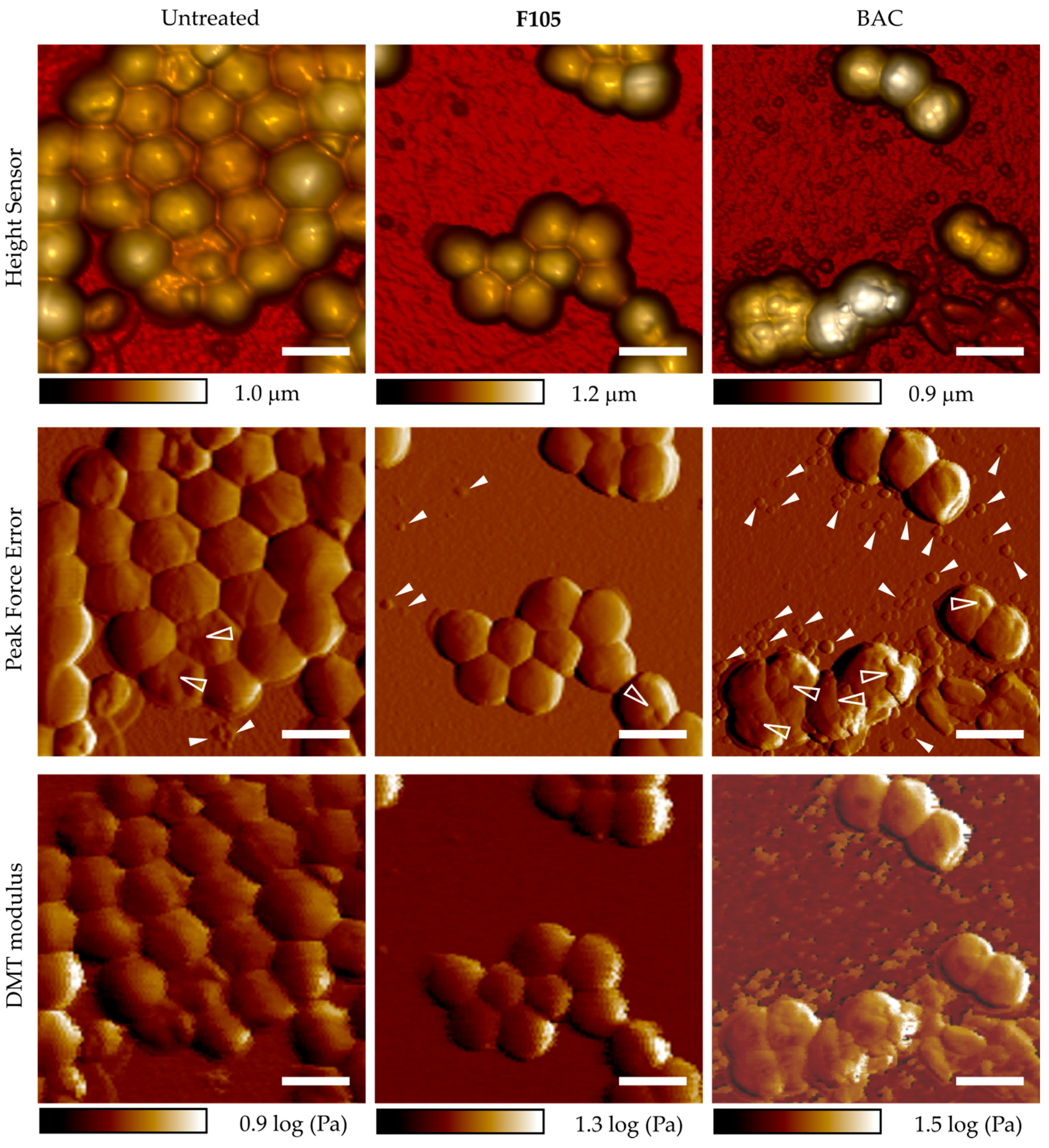 Ijms 20 00694 g007 Ijms 20 00694 g007