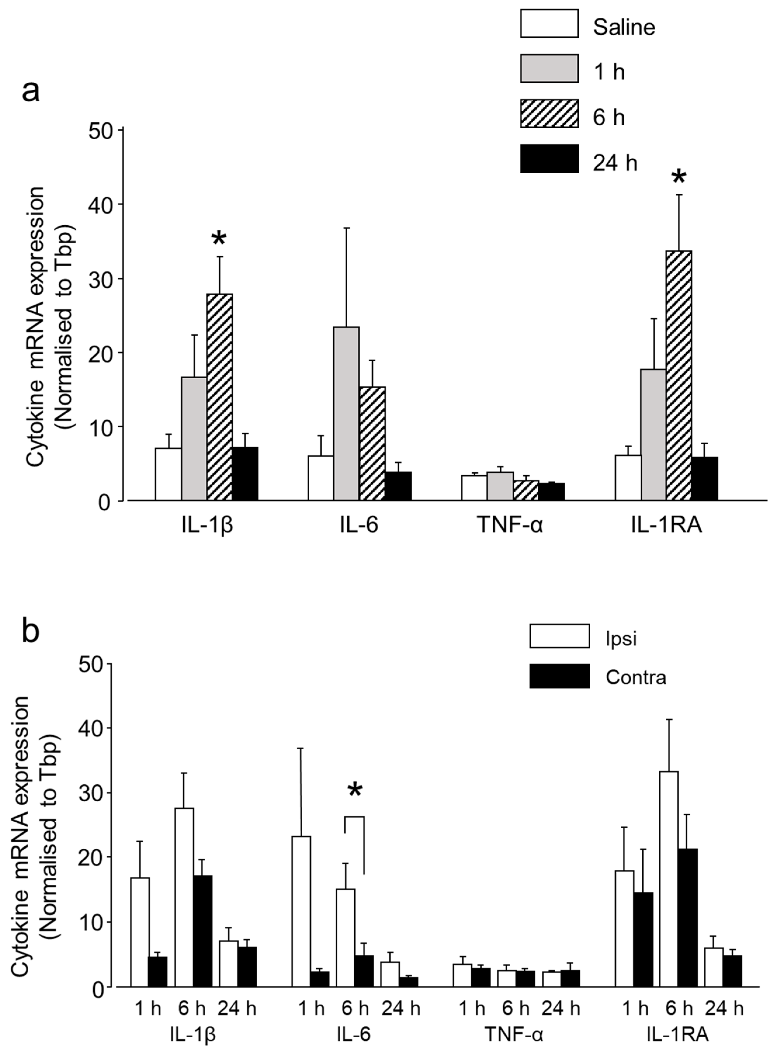 Ijms 20 00711 g003 Ijms 20 00711 g003