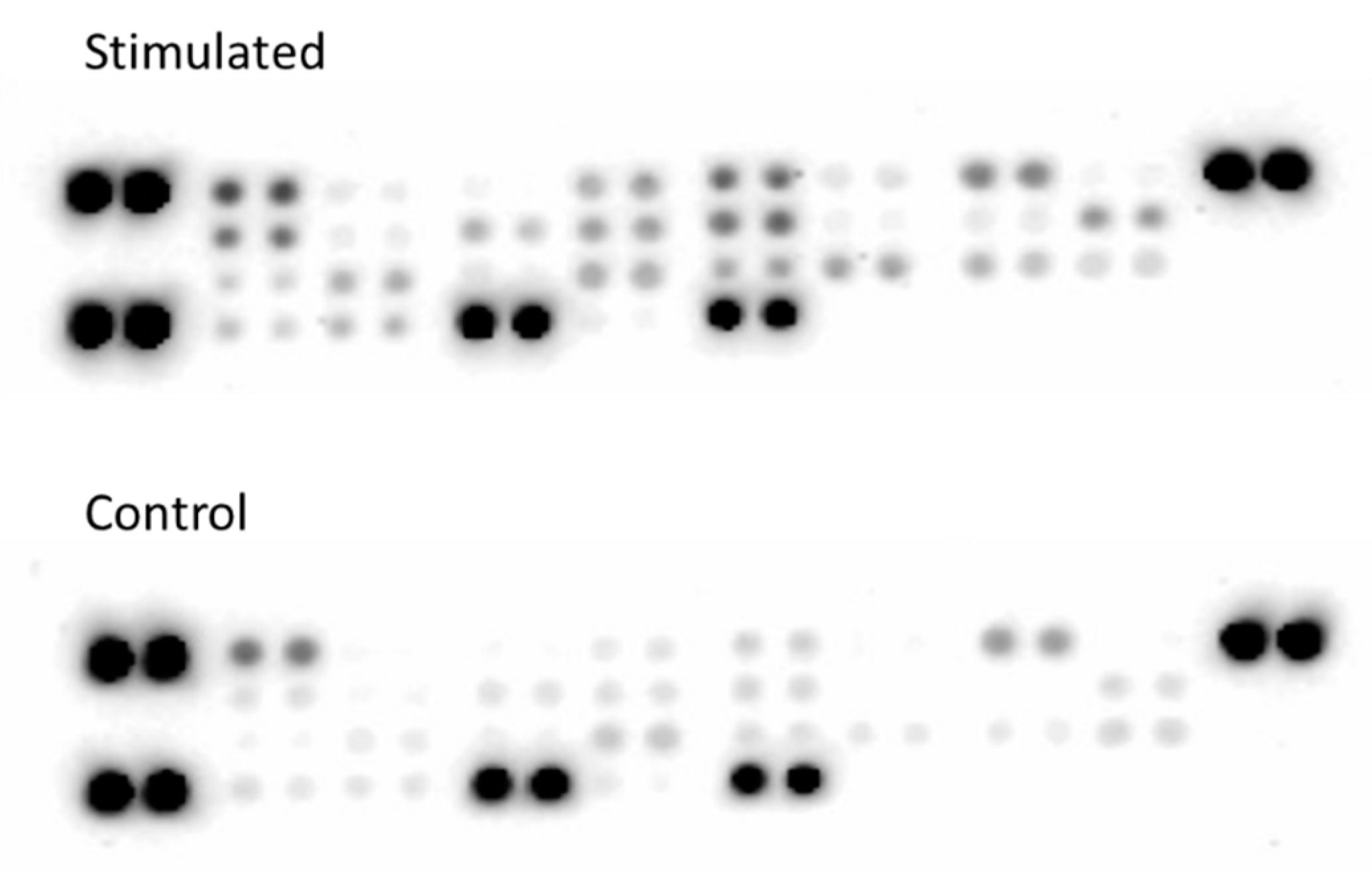 Ijms 20 00711 g004 Ijms 20 00711 g004