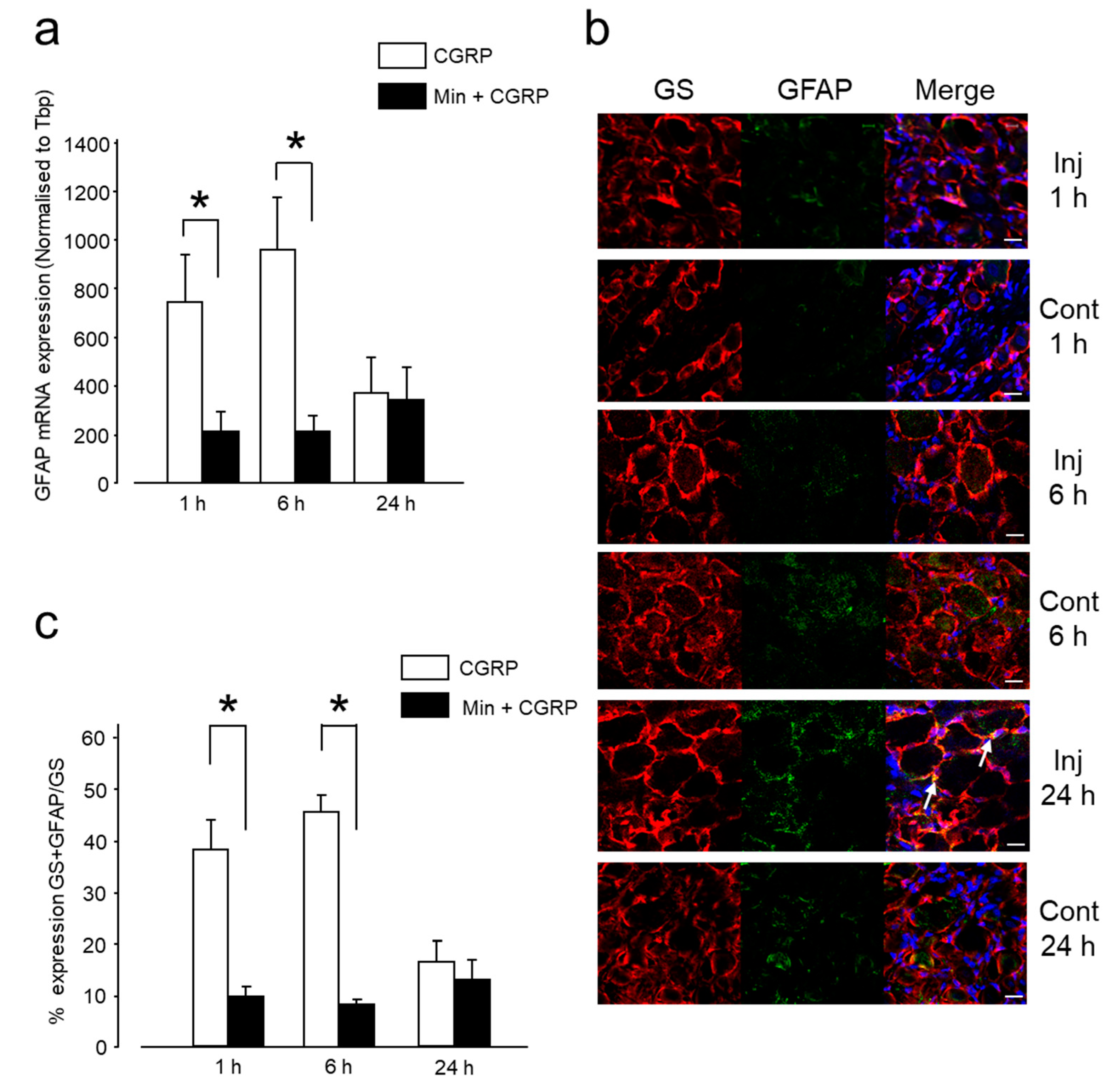 Ijms 20 00711 g006 Ijms 20 00711 g006