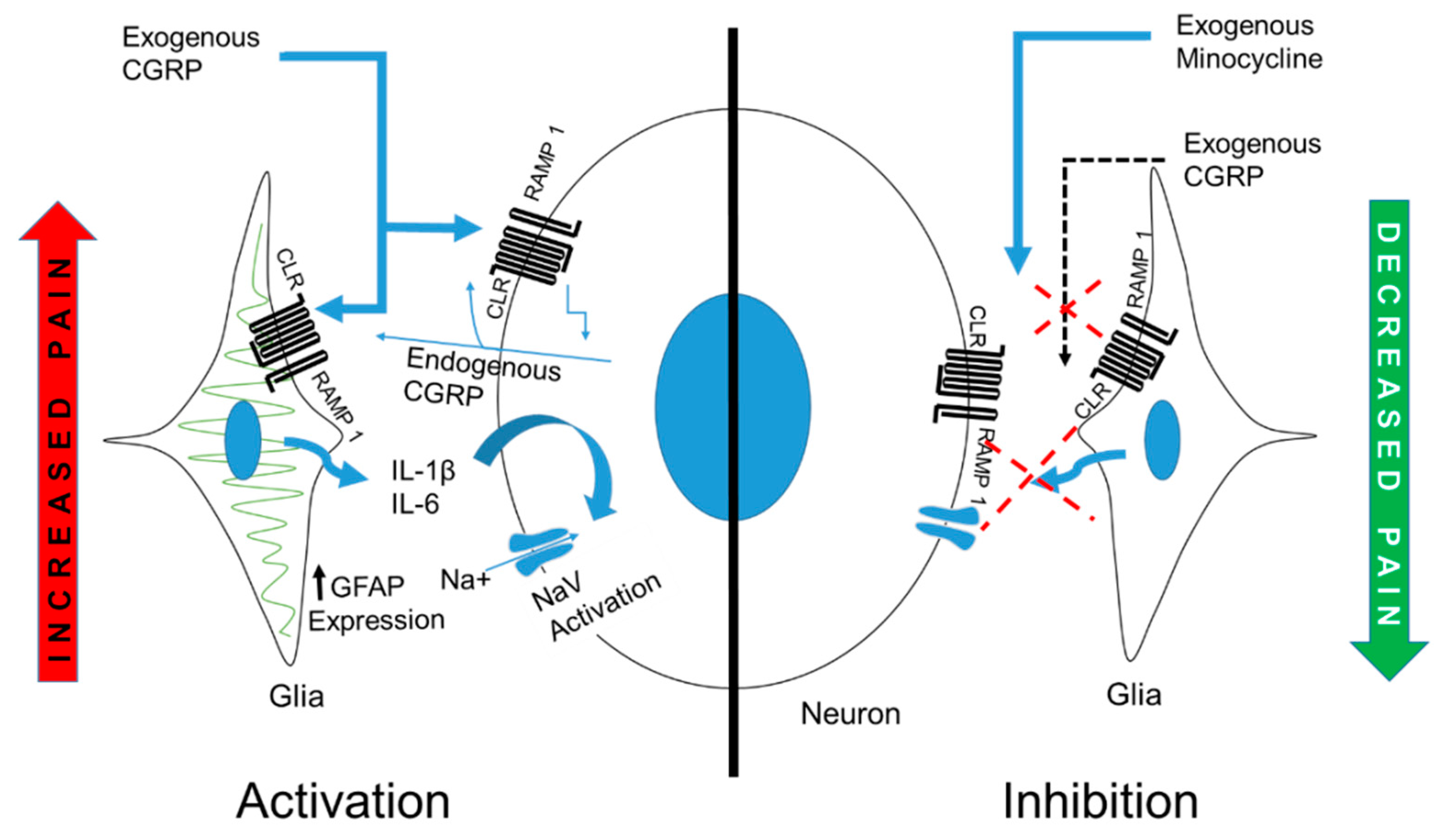 Ijms 20 00711 g009 Ijms 20 00711 g009