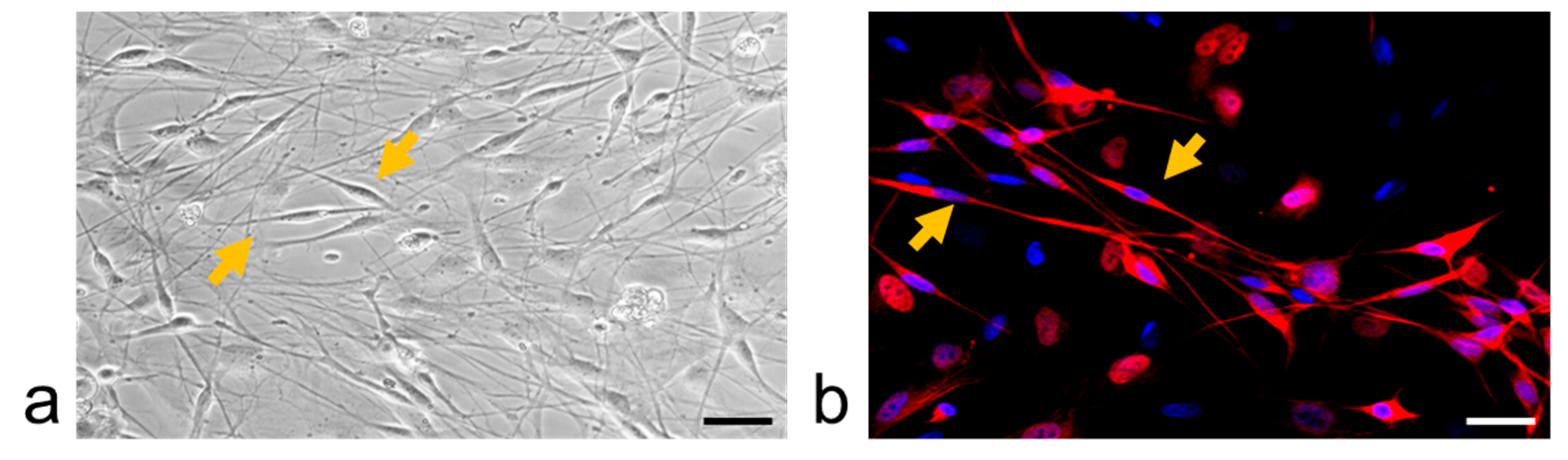 Ijms 20 00711 g010 Ijms 20 00711 g010