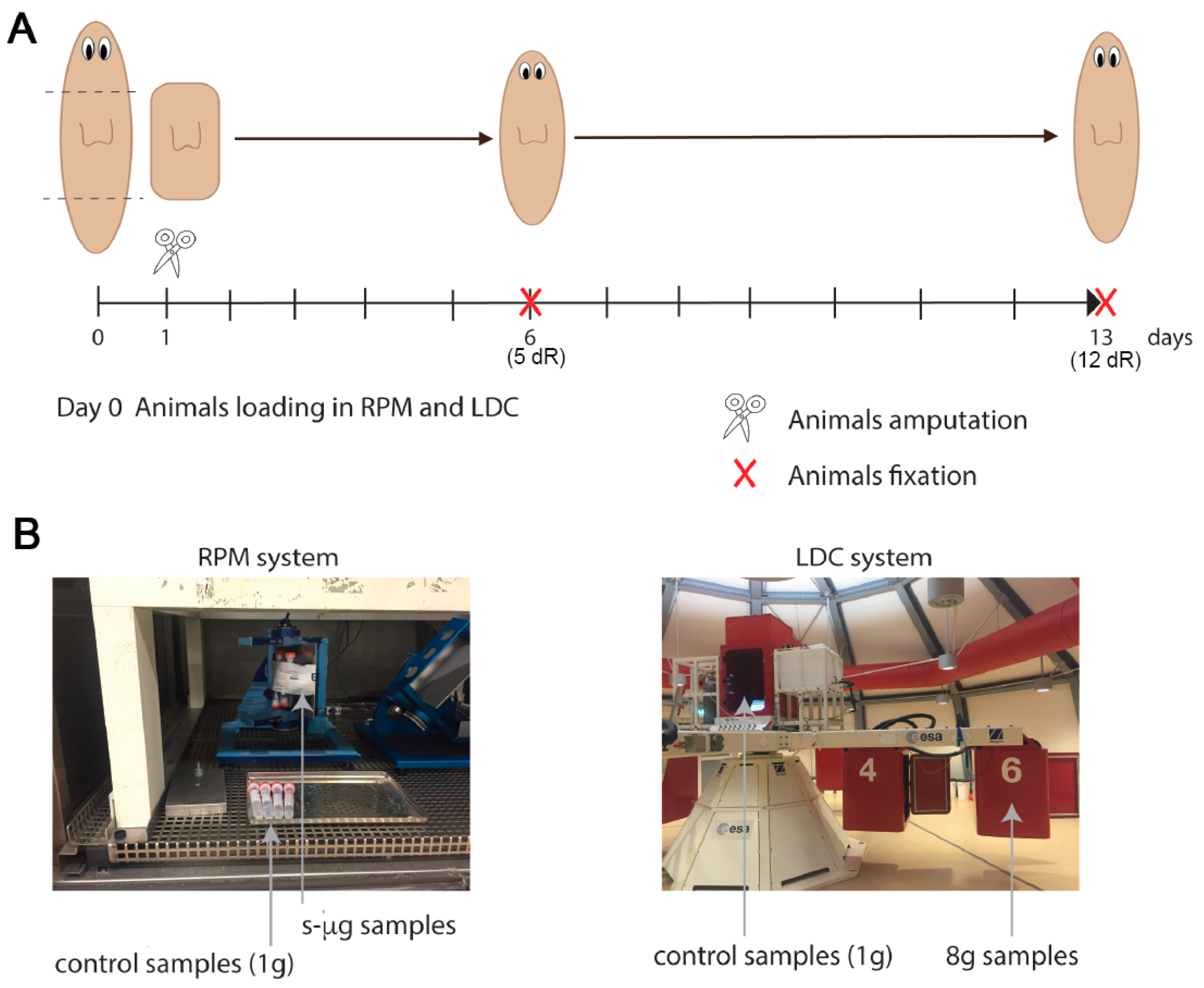 Ijms 20 00720 g001 Ijms 20 00720 g001