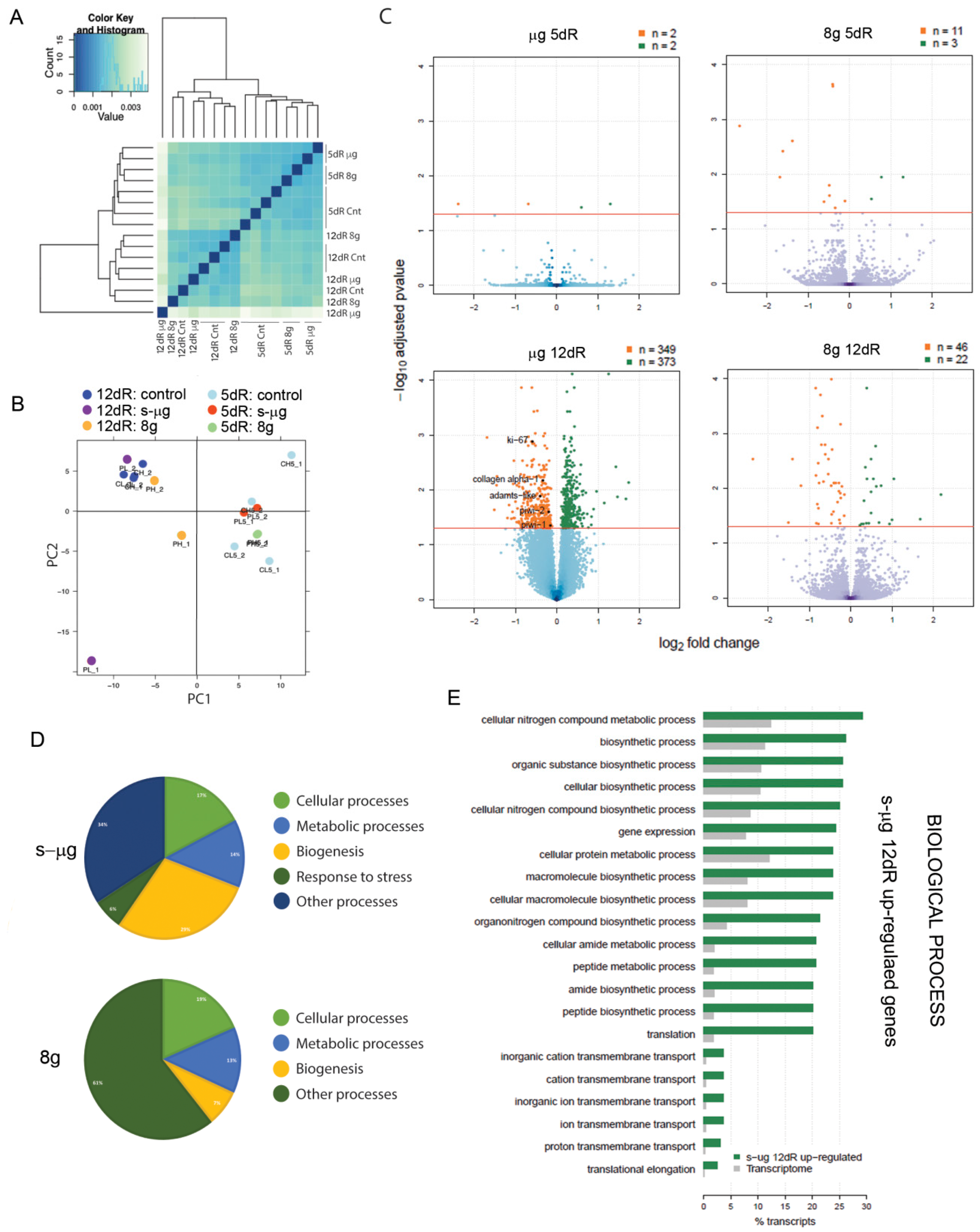Ijms 20 00720 g002 Ijms 20 00720 g002