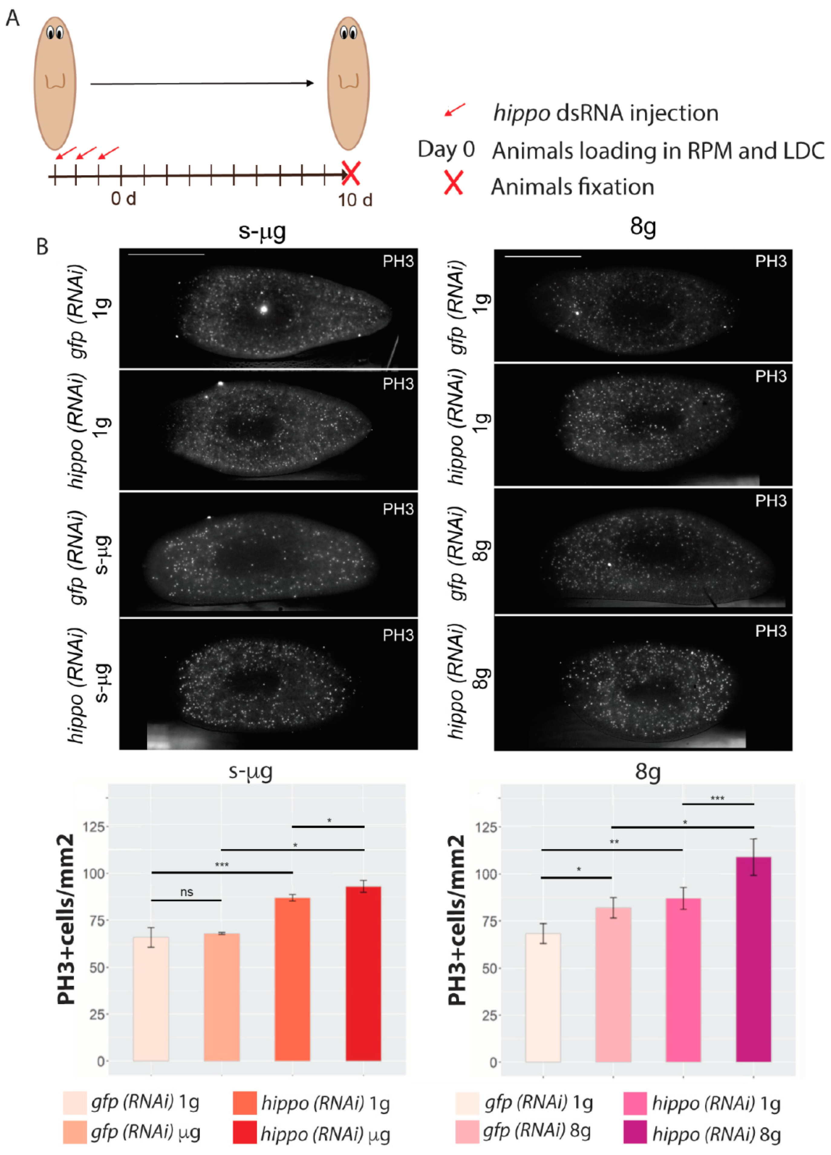 Ijms 20 00720 g005 Ijms 20 00720 g005