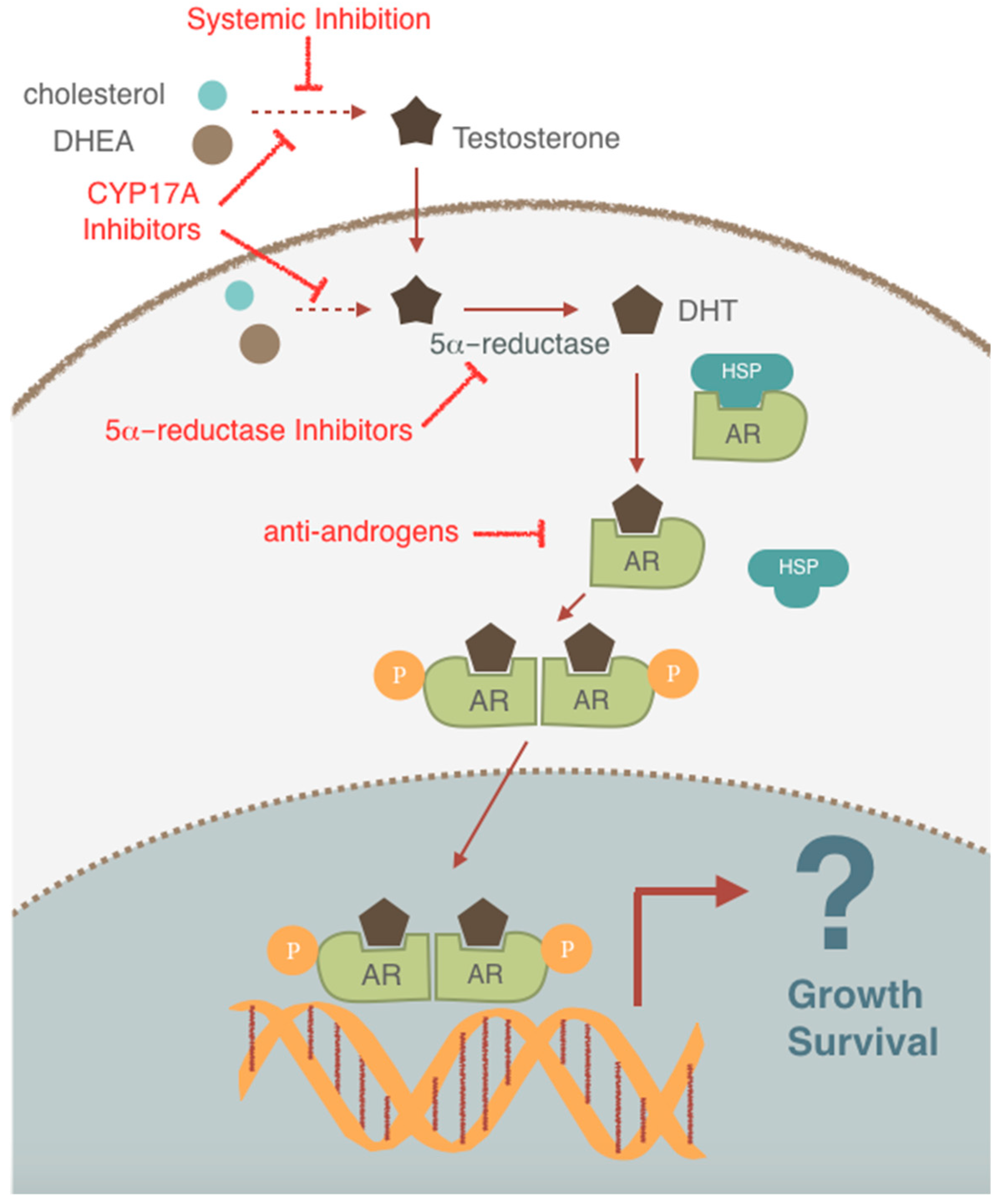 Ijms 20 00774 g002 Ijms 20 00774 g002