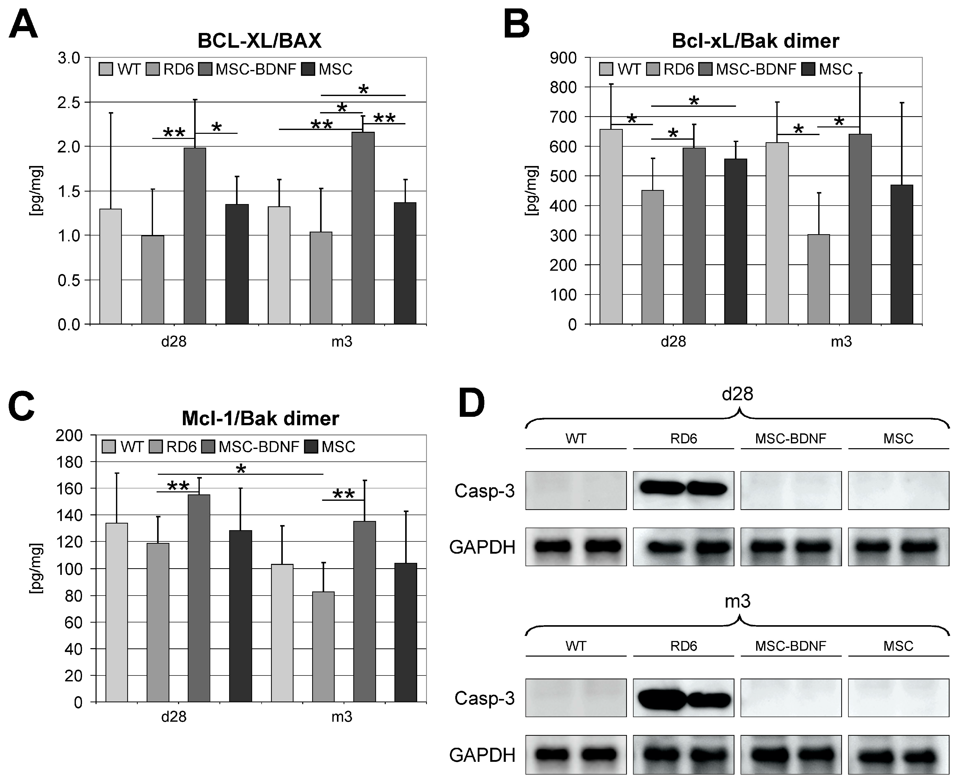 Ijms 20 00777 g004 Ijms 20 00777 g004