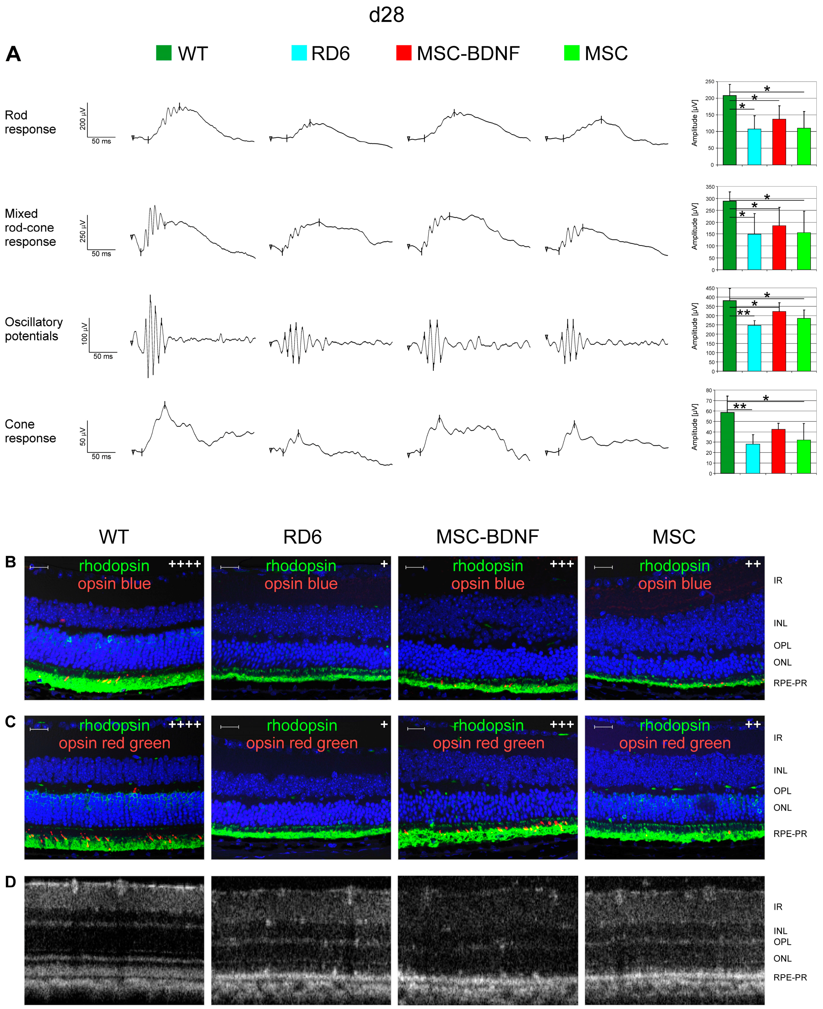 Ijms 20 00777 g005 Ijms 20 00777 g005