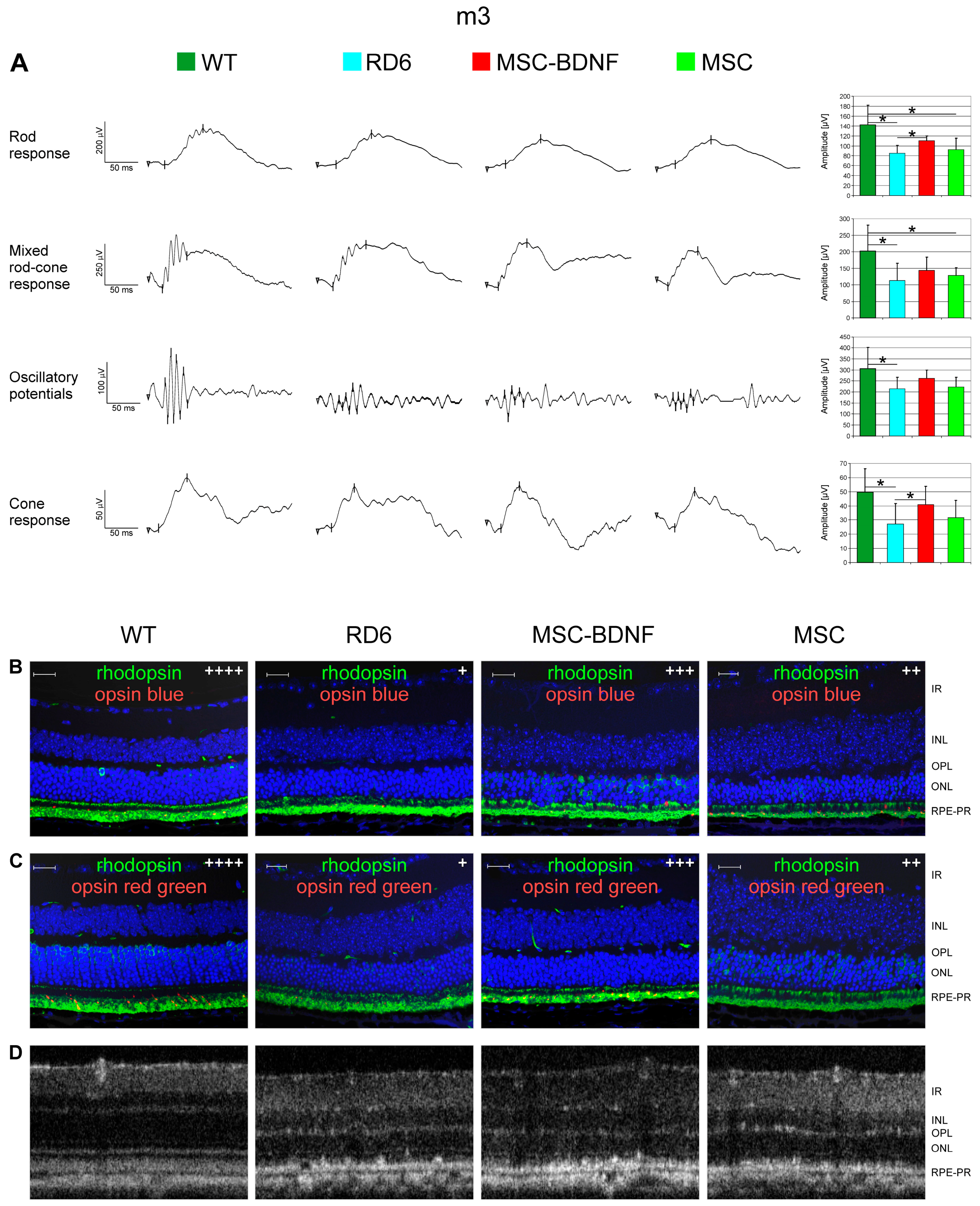 Ijms 20 00777 g006 Ijms 20 00777 g006