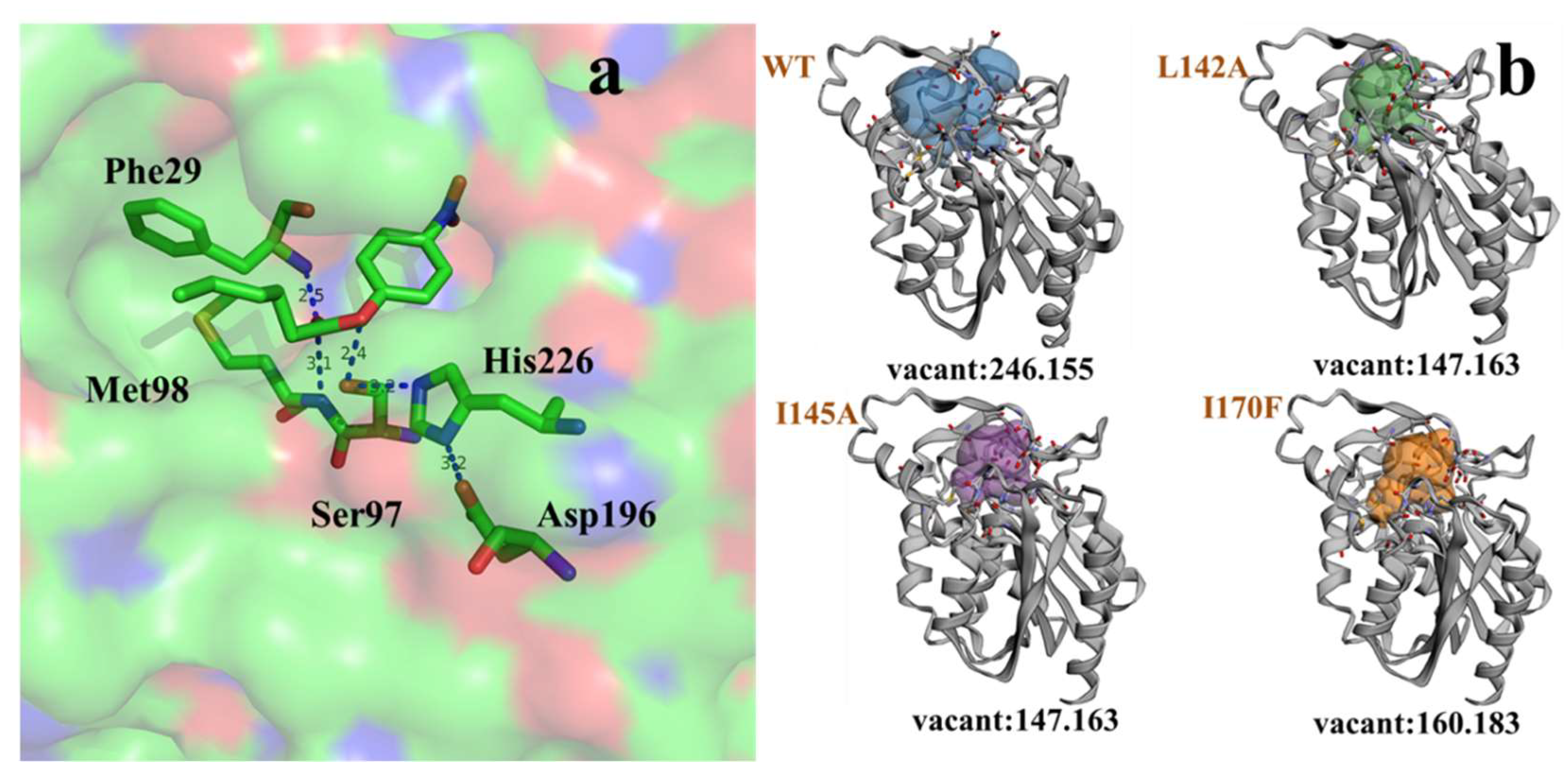 Ijms 20 00780 g009 Ijms 20 00780 g009